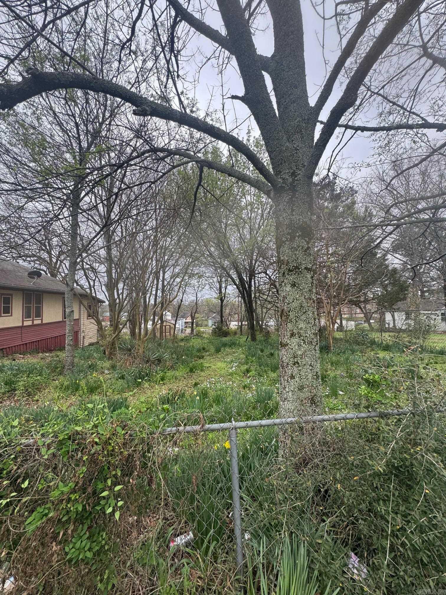 Forest Hill - Land