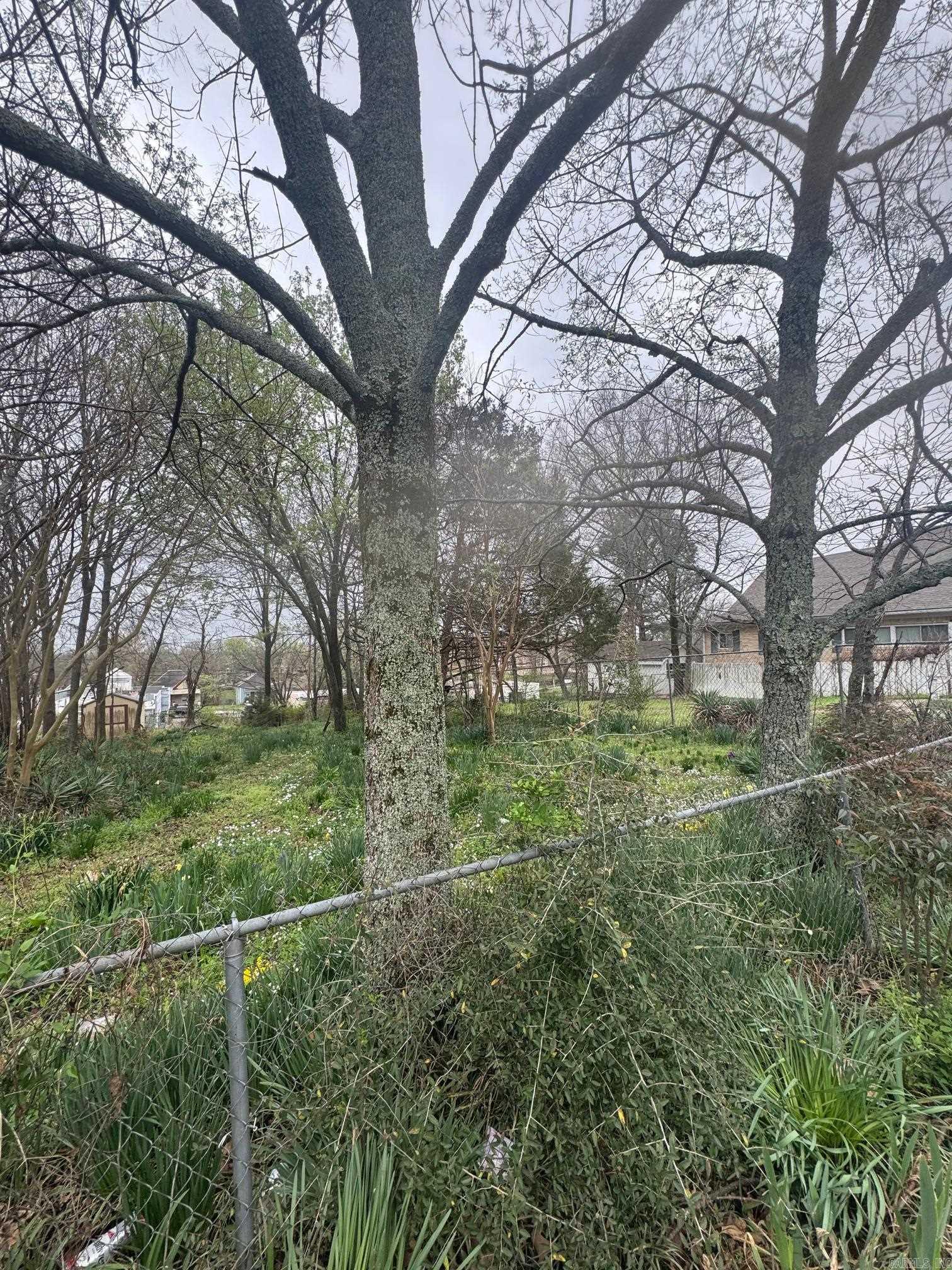 Forest Hill - Land