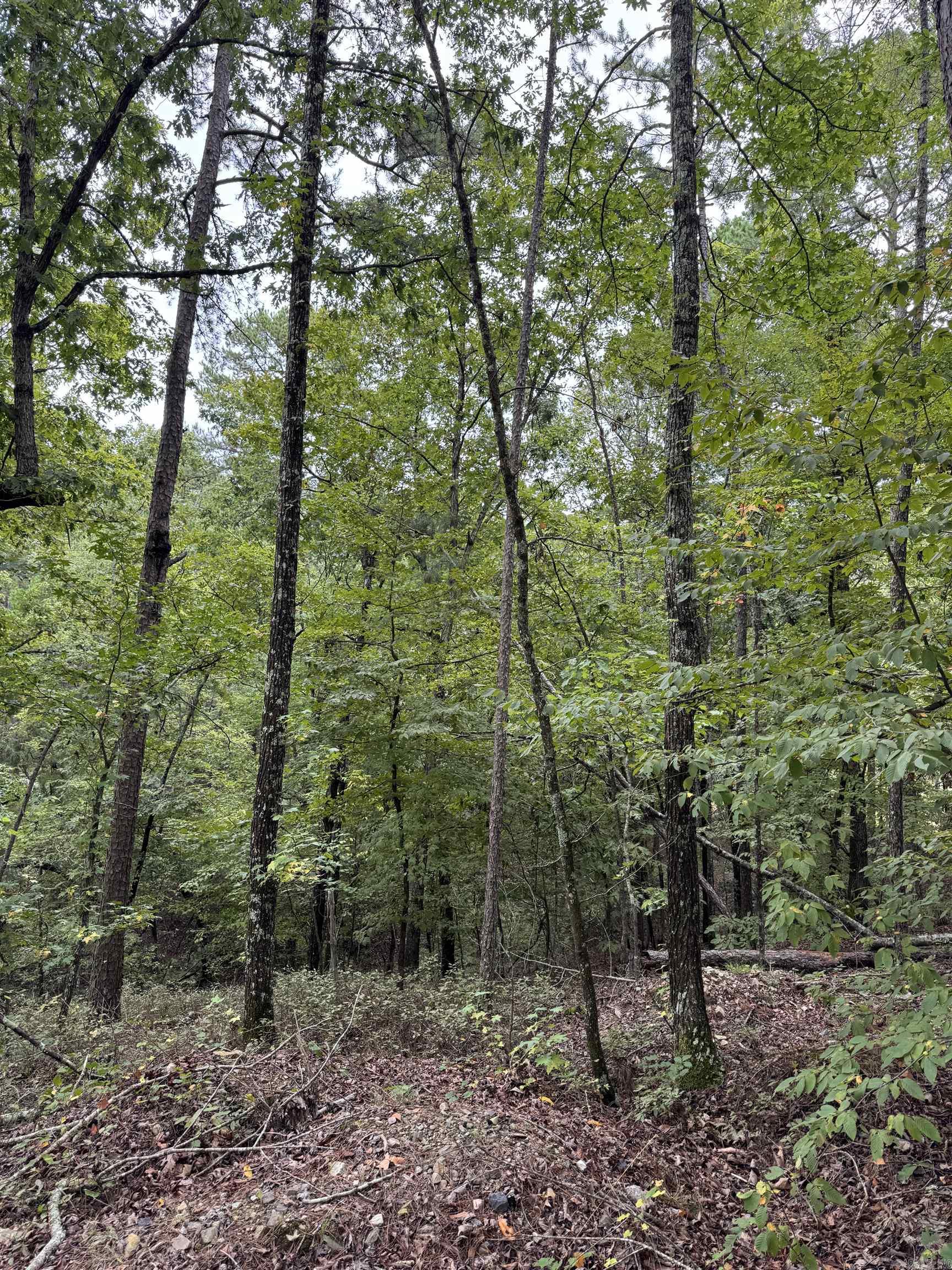 Walnut Valey - Land