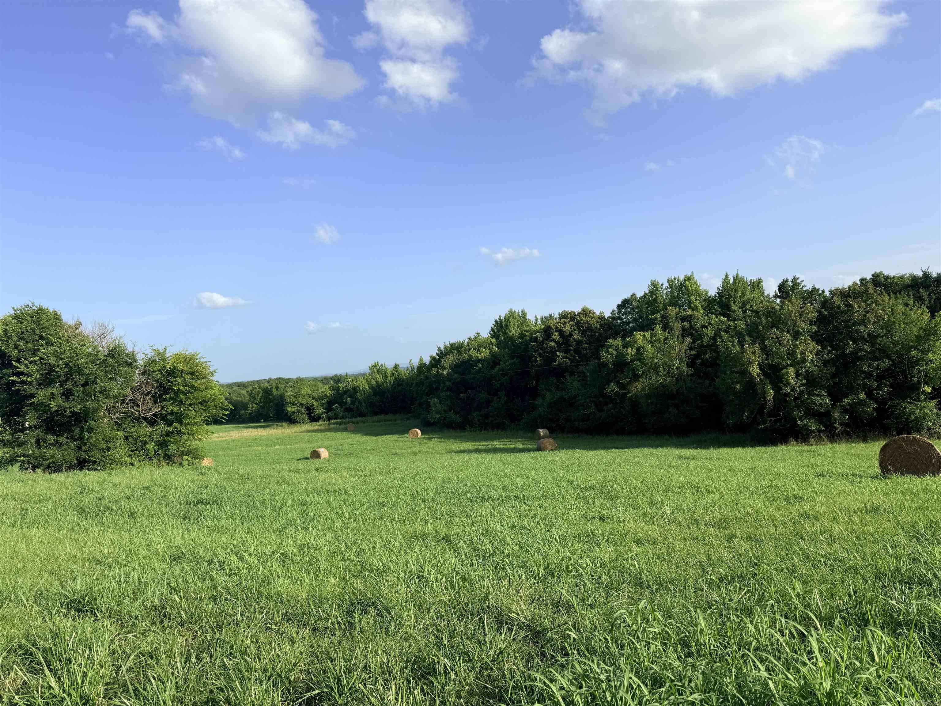 Nice rural acreage with some woods and pasture.  Property to be surveyed for correct Legal Description