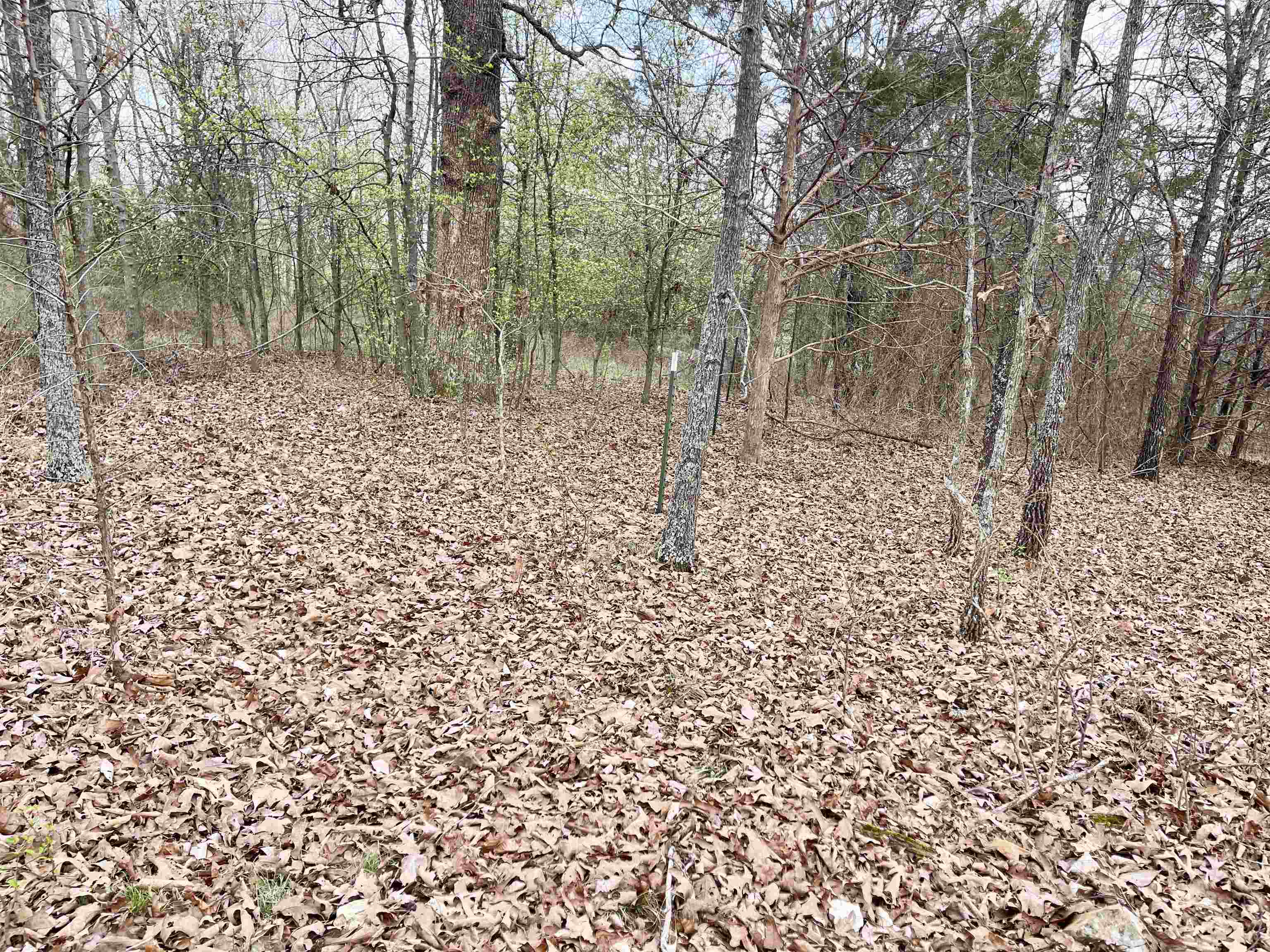 Prime 1.01 Acre Highway Frontage Property in North Central Arkansas – No Restrictions! Looking for the perfect spot to build a home, start a business, or invest in land in beautiful Fulton County? This 1.01 surveyed acre property in the beautiful Ozarks offers incredible visibility and flexibility with 217 feet of highway frontage on busy U.S. Highway 62/412. This property features no restrictions, giving you the freedom to build a  business, RV setup, or investment property. Utilities are already available, including county water, NAEC electric, and high-speed internet, making it ready for development. Located in a growing area of Fulton County, this tract combines excellent highway exposure with rural Ozarks beauty.  Property Highlights  1.01 Surveyed Acres 217 Ft of Highway Frontage Located on U.S. Highway 62/412 No Restrictions County Water Available NAEC Electric High-Speed Internet Ideal for Home, Business, Storefront, or Investment Beautiful North Central Arkansas / Ozarks Region