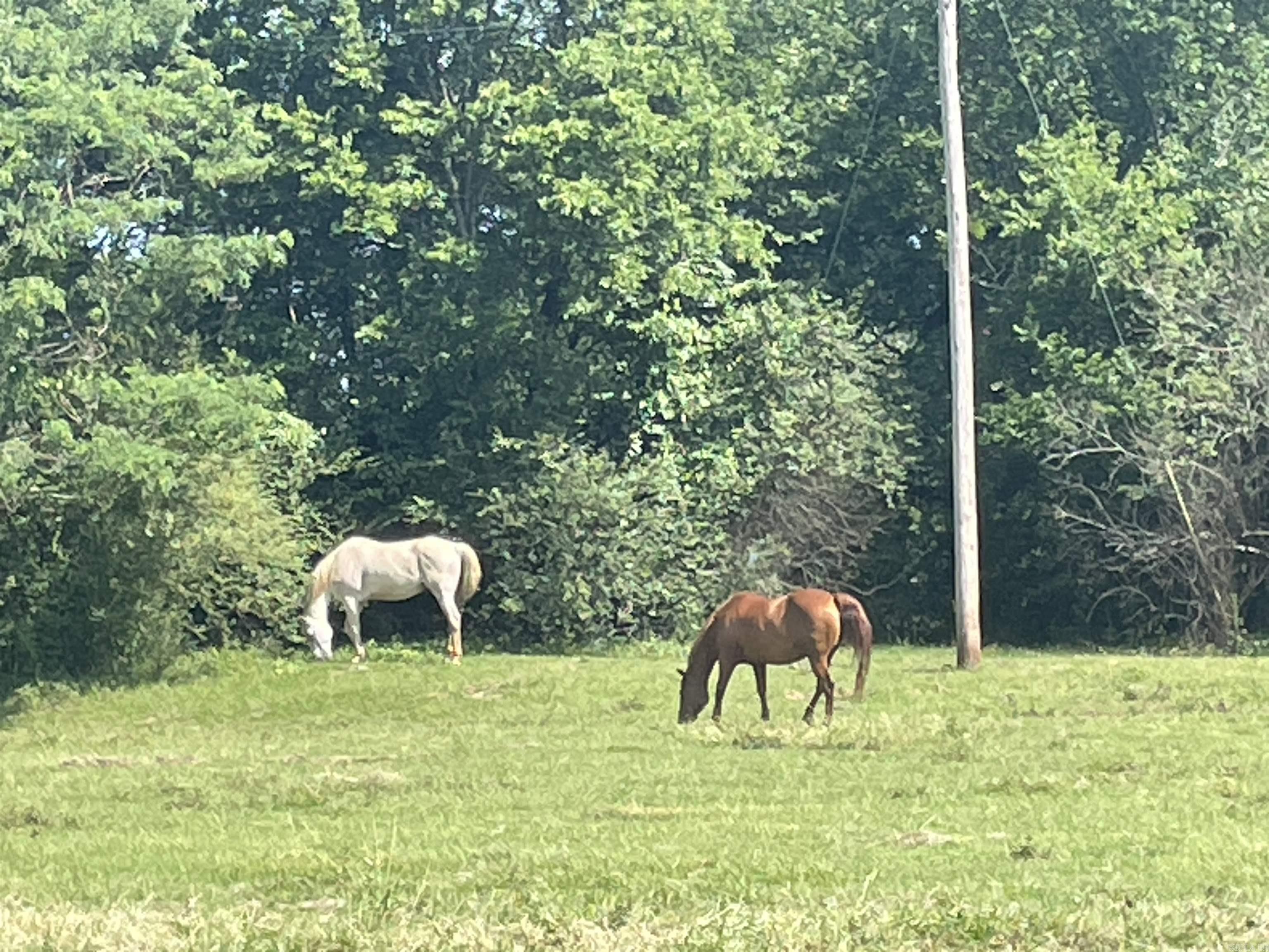 BIGELOW CITY ACREAGE - Residential
