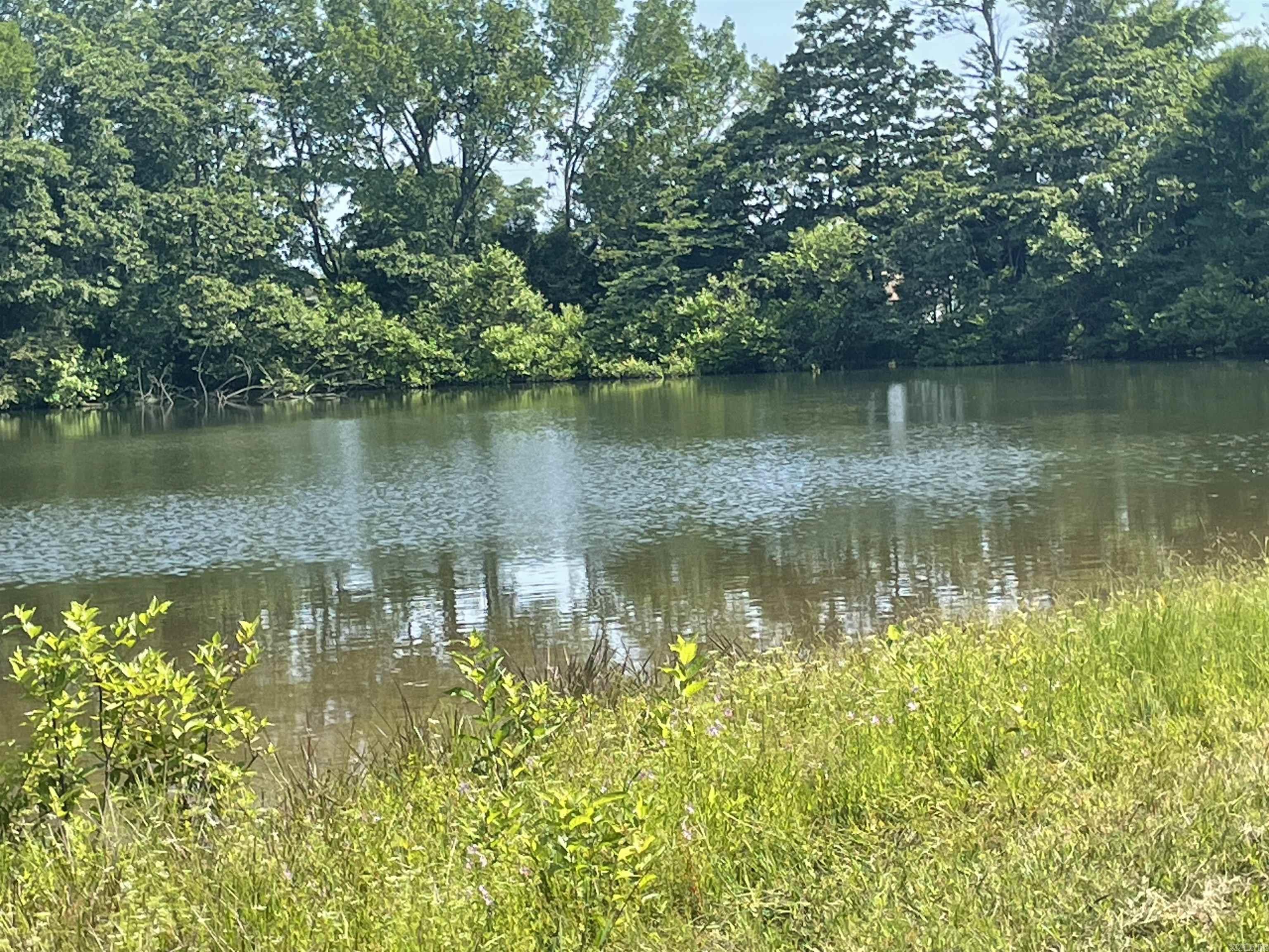 BIGELOW CITY ACREAGE - Residential