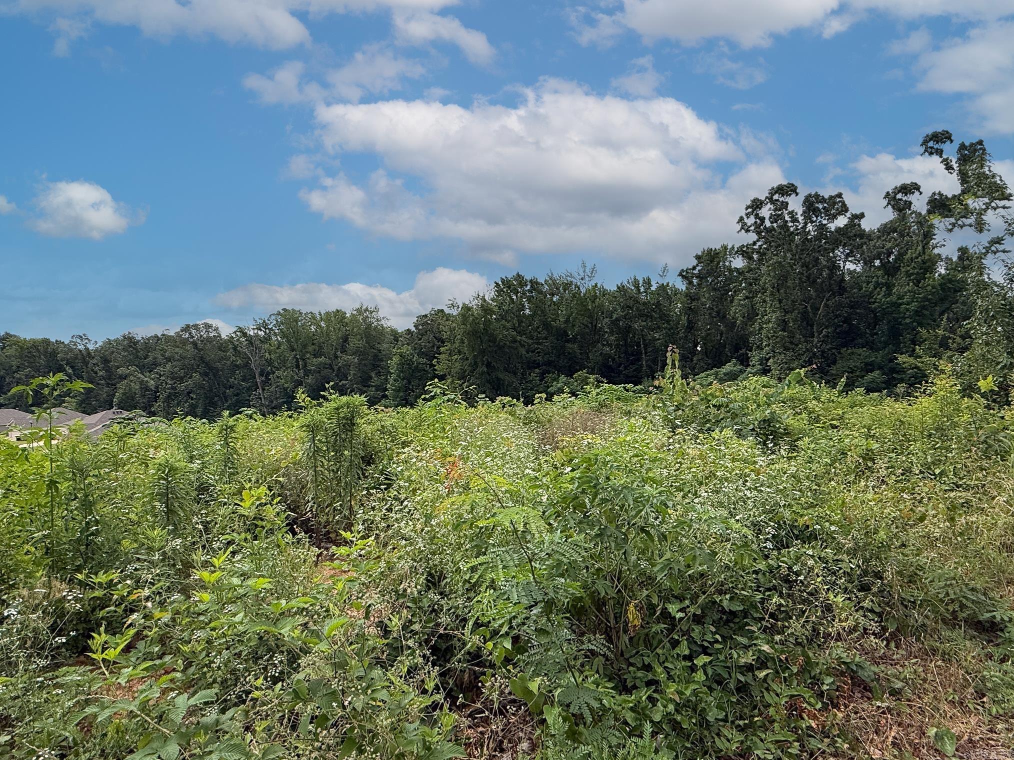 OAKLAND GROVE ESTATES - Land