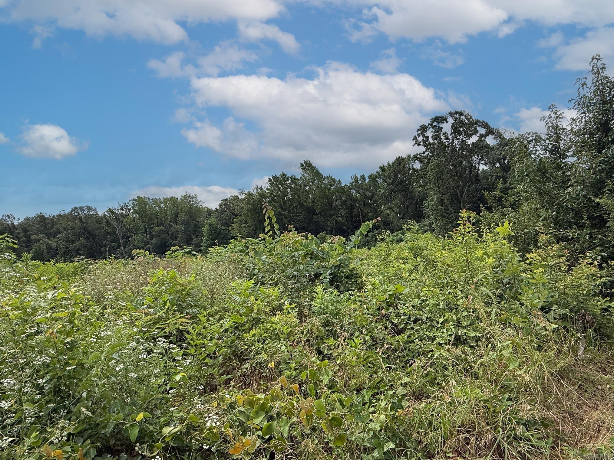 OAKLAND GROVE ESTATES - Land
