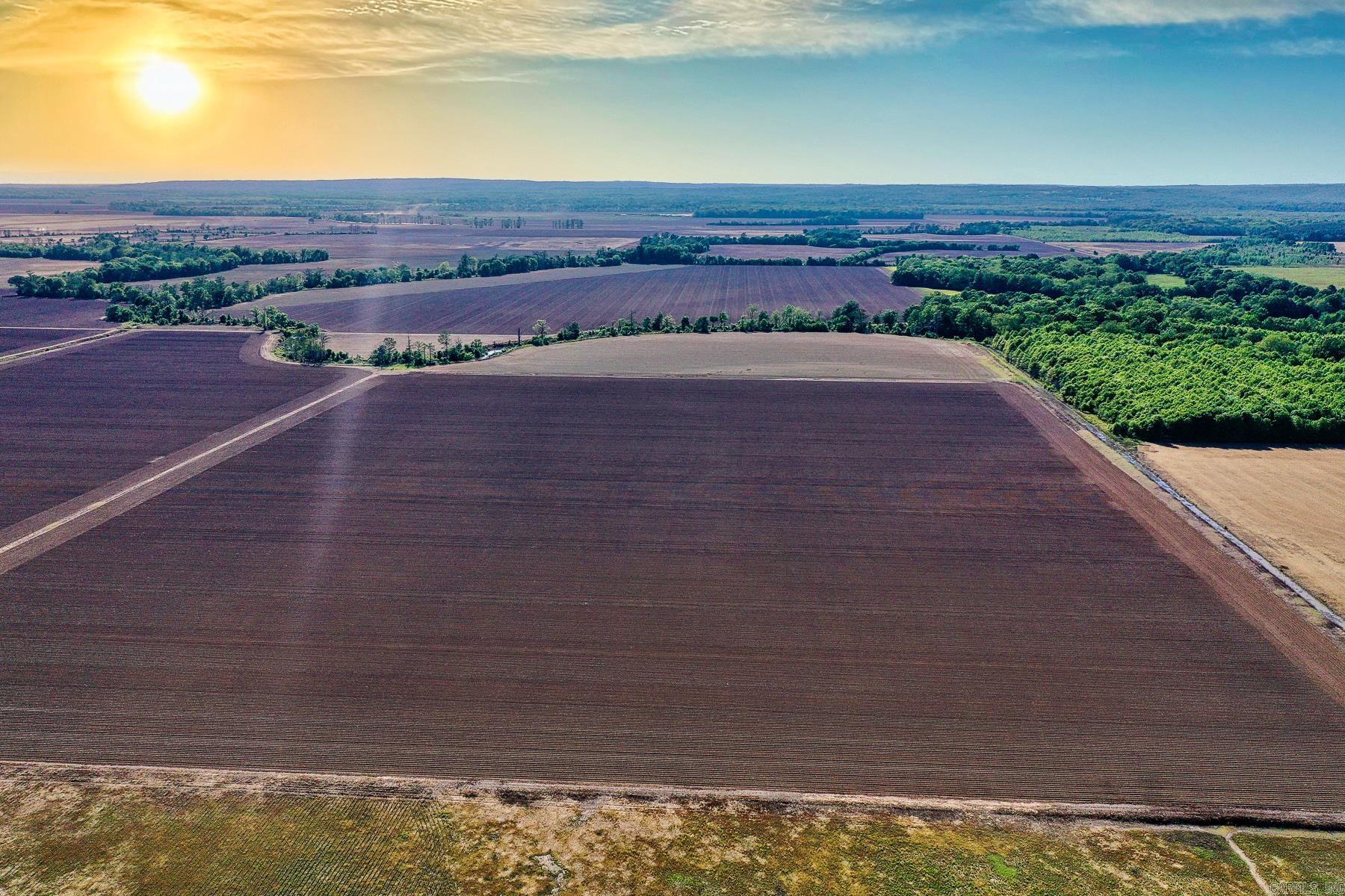 This 64 +/- acre tract of precision leveled, highly productive farmland offers a strong opportunity for both income and recreation in the heart of White County near Bradford, Arkansas. The farm has a proven history of rice and soybean rotation and is set up for efficient farming practices, making it an ideal addition to an existing operation or a solid standalone investment. The soils are primarily made up of Kobel silty clay and Commerce silty clay loam, both known for their ability to hold water—an important factor for rice production and overall farm performance. The layout and topography support consistent yields, and the precision leveling enhances water management and efficiency across the tract. In addition to its agricultural value, this property carries strong recreational appeal. Located within one mile of the White River in a major migratory flyway, the farm offers excellent potential for duck hunting, especially when managed in conjunction with its natural water-holding capabilities. For buyers looking to expand, this tract adjoins an additional 368 +/- acre rice and soybean farm also available for purchase, creating a rare opportunity for a larger, contiguous tract.