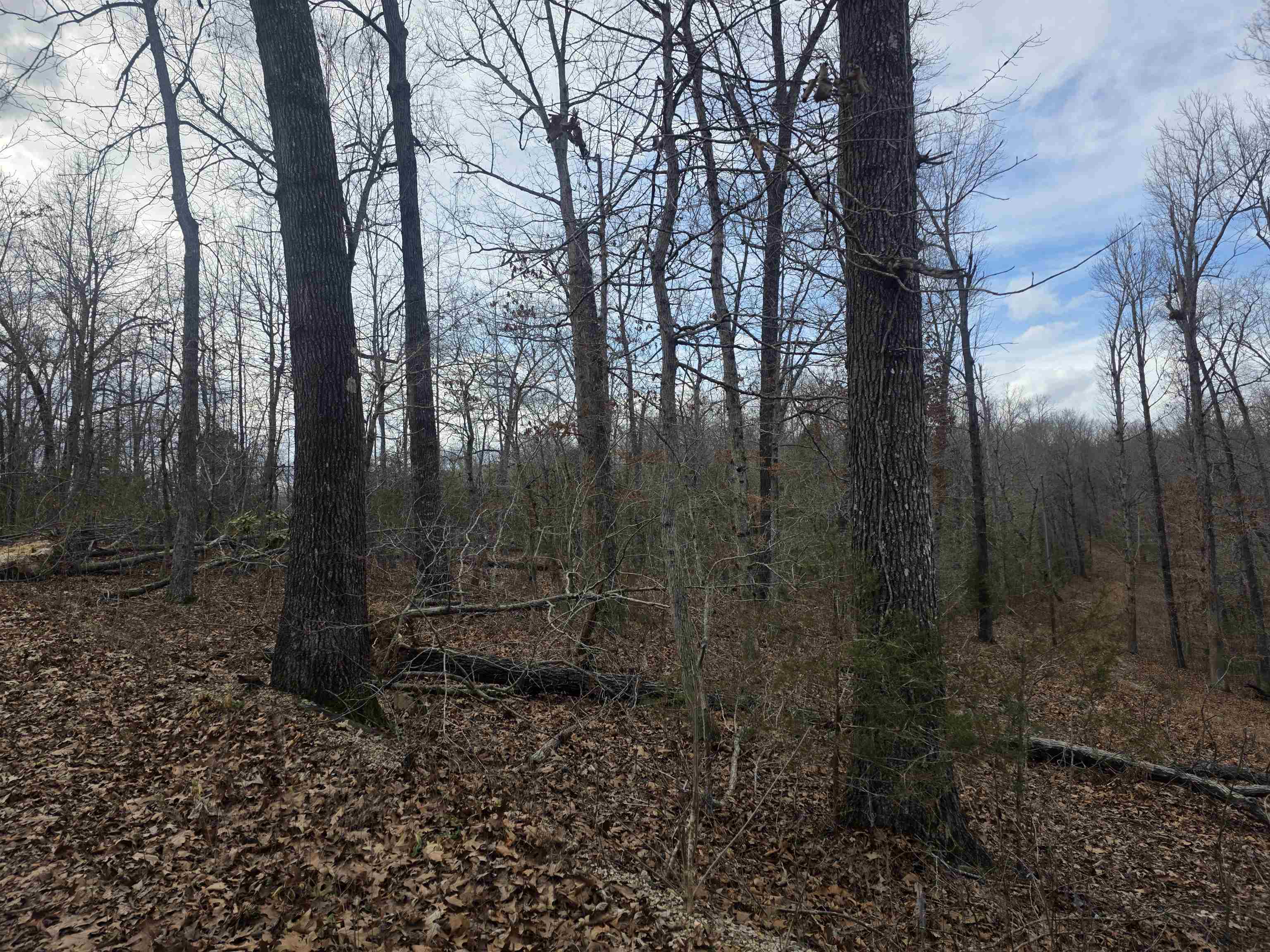 Nice corner lot on Summit Ridge Rd. and Summit Ridge Circle. One of the main throughfares in Ozark Acres. This lot has great road frontage and a gentle downslope down to a small valley and powerline easement. Power and water are available at the street. Schedule some time to ride out and get a look at this lot and pick your spot to build you vacation cabin, a winter home or even your forever home. Ozark Acres has 2 lakes and is located just down the road from Ole Hardy town for great shopping, dining and entertainment. Not to mention the beautiful Spring River. There are 5 other lots available as well all right next to each other.