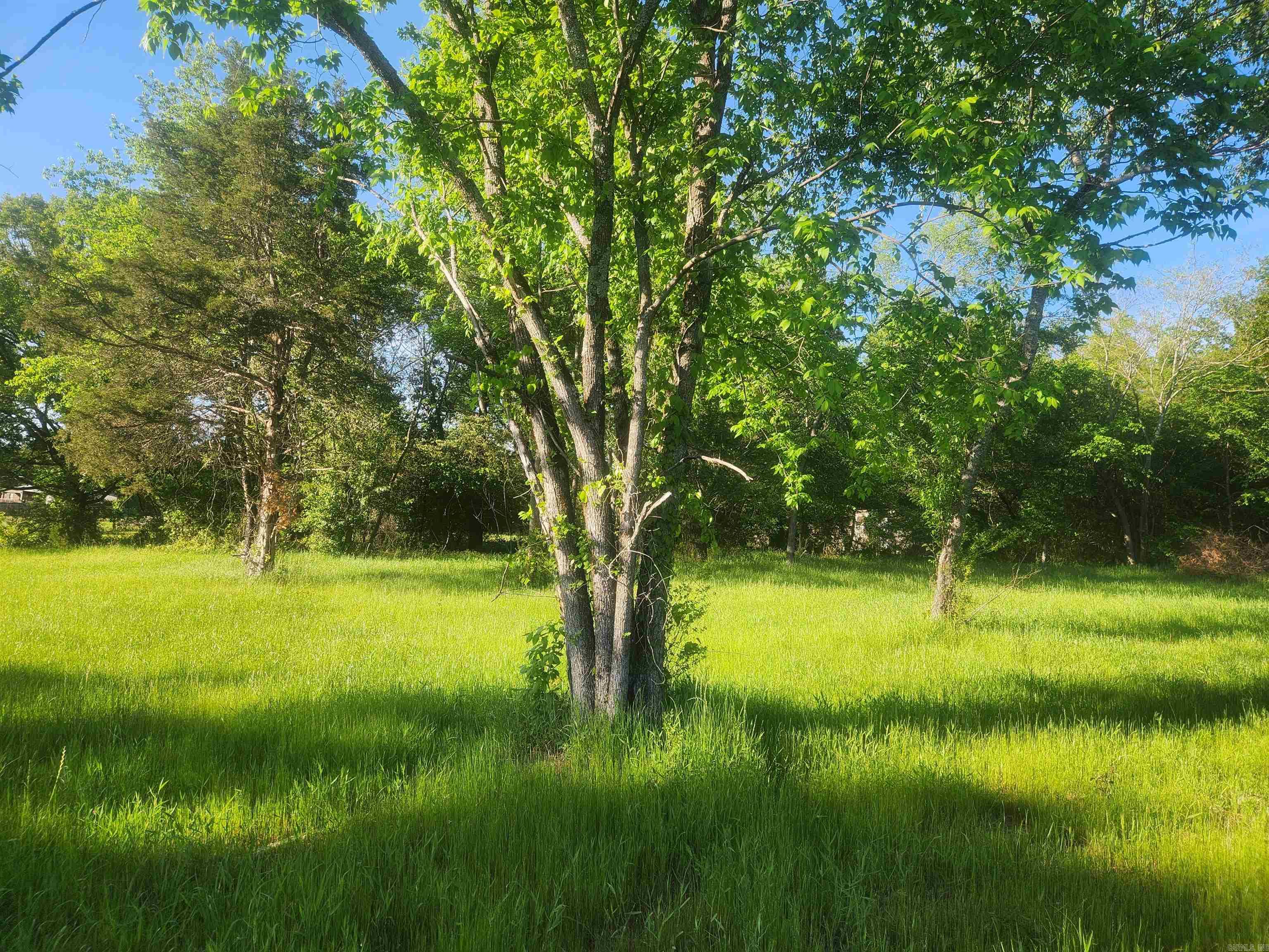 nil - Land