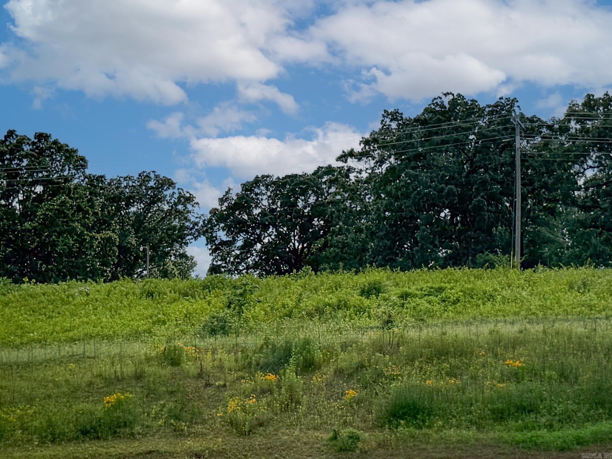 OAKLAND GROVE ESTATES - Land