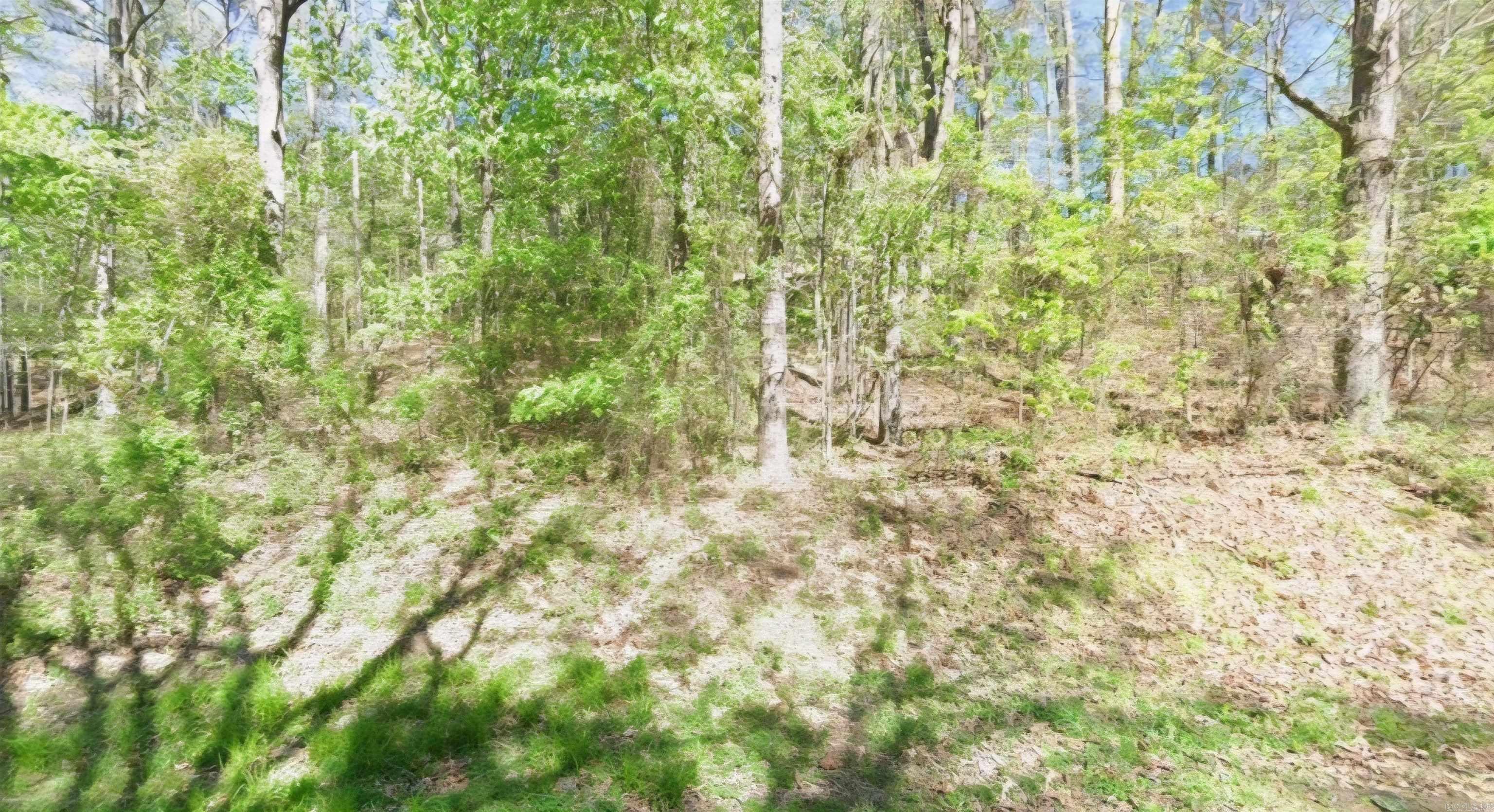 Indian Hills - Land