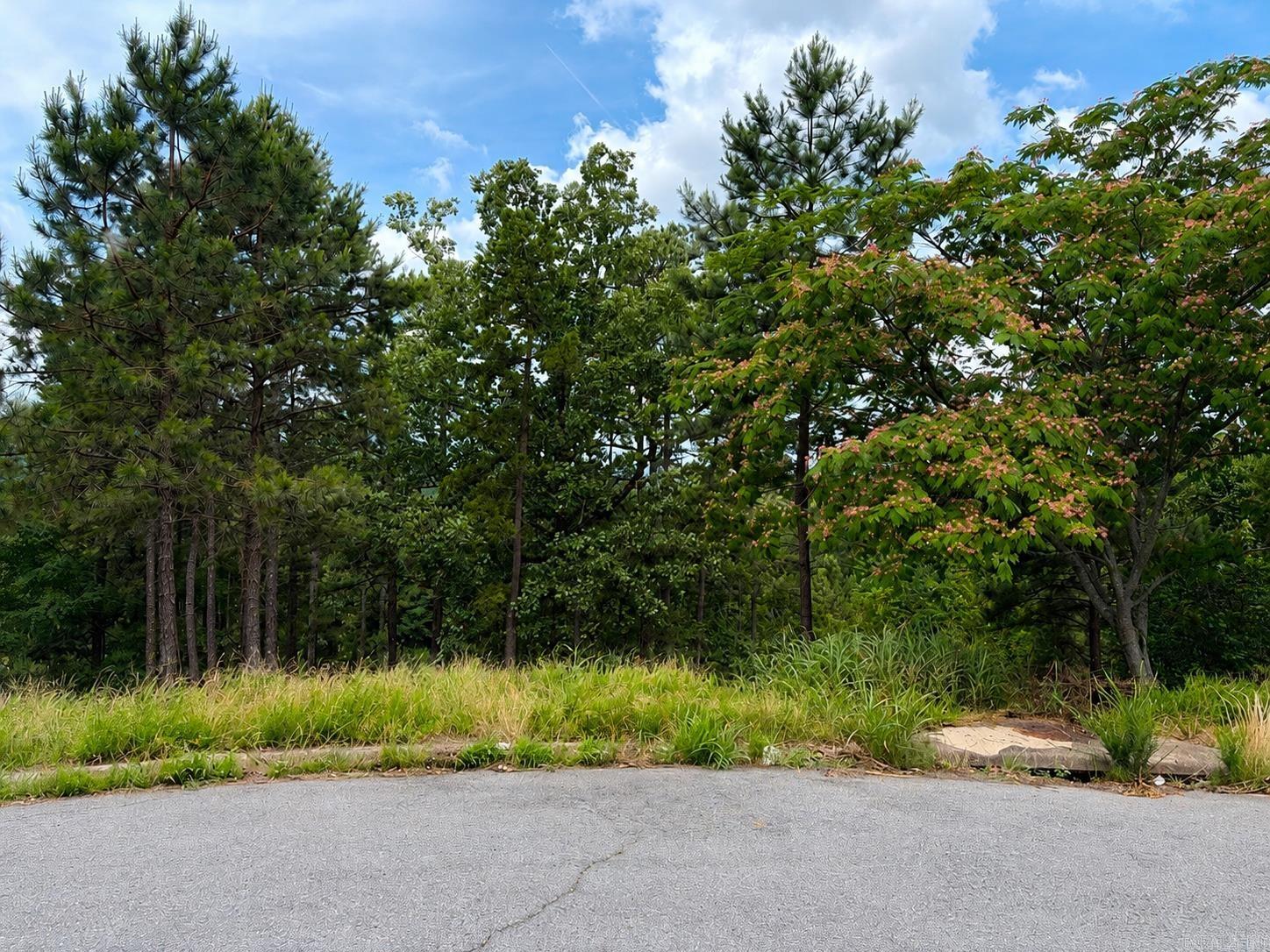 Ridgeview 2 - Land