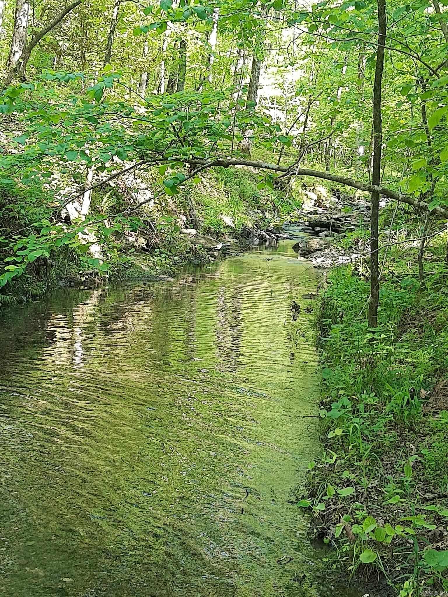 Discover the perfect blend of privacy, nature, and adventure with this exceptional 11.06-acre property in the heart of Mt. Ida, Arkansas—the Crystal Capital of the World. Whether you're dreaming of a peaceful vacation retreat, a forever home, or an investment in Arkansas's scenic outdoors, this property offers endless possibilities. This beautiful property features 11.06 wooded acres with approximately 325 feet of Hovel Creek frontage, where you can enjoy the peaceful sounds of flowing water and the beauty of nature right outside your door. Bordering the Ouachita National Forest, you'll have direct access to thousands of acres for hiking, hunting, and exploring. With mobile homes allowed, you have the flexibility to build a custom home, place a manufactured home, or create the perfect weekend retreat. The land is a true blank canvas, ready for your vision, and is home to abundant wildlife including deer, turkey, and other native species. Located just minutes from Lake Ouachita, you'll enjoy some of Arkansas's best fishing, boating, kayaking, swimming, and outdoor recreation.