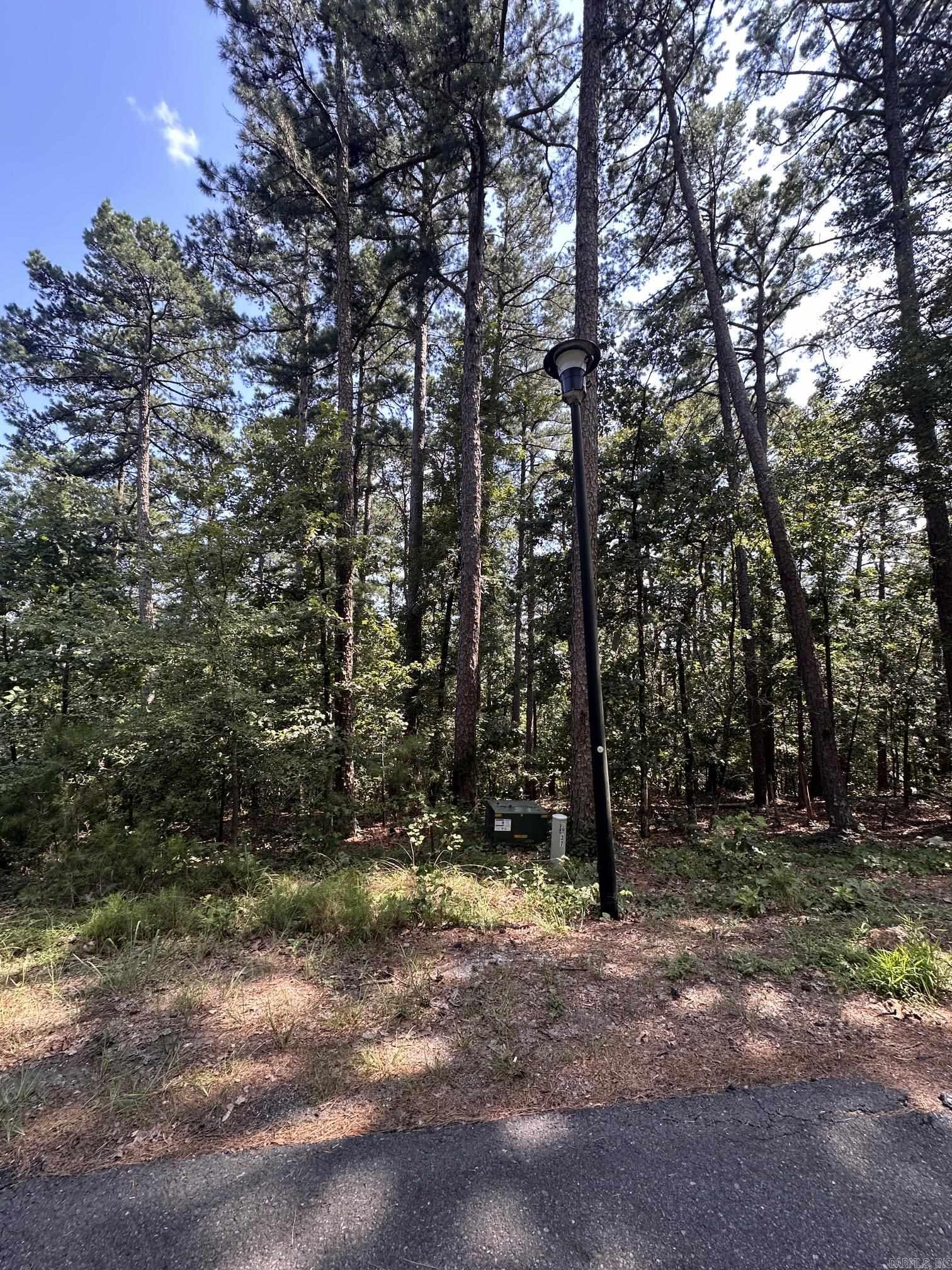 Discover the perfect setting for your dream home on this beautiful wooded residential lot nestled in the heart of Hot Springs Village! Offering privacy and natural beauty, this property provides an exceptional opportunity to create your custom mountain retreat or forever home. With selective tree clearing, the lot may offer scenic mountain views along with the potential for views of Lake Balboa and/or Lake Coronado. Buyers are encouraged to investigate the view potential, and a builder site walk is recommended to determine the ideal home placement and verify the property's possibilities. Utilities are available nearby for added convenience. Centrally located within the Village, this homesite provides easy access to both the East and West Gates while remaining just minutes from championship golf courses, pristine lakes, walking trails, tennis and pickleball courts, fitness centers, restaurants, and all the amenities Hot Springs Village has to offer. Whether you're ready to build now or planning for the future, this exceptional property offers the perfect blend of privacy, convenience, and the opportunity to create the lifestyle you've always envisioned.