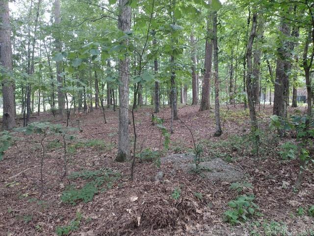 Nice buildable lot on Cortez golf course #16 fairway.  Lot 006 Block 01 Sendero Subdivision, Garland County, Hot Springs Village AR  $300 Buy-In fee for HSV POA for first time buyers.