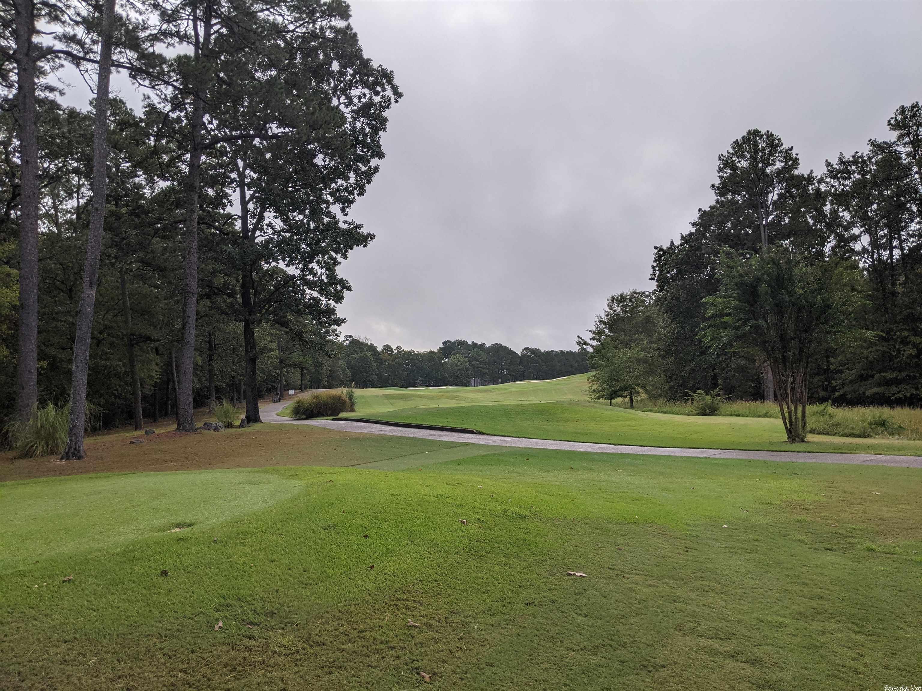 Beautiful Golf Course Lot sits at the 14th hole and 15th tee of #3 ranked course in Arkansas Diamante. Build your dream home in Diamante Country Club located within Hot Springs Village the largest gated community in the country. Diamante amenities include tennis, private pool and pickle ball. Walk or ride your cart to the clubhouse for chef created meals and social events.  Additional Hot Springs Village amenities such as 11 lakes, pickleball and trails. This is a Gold Status property, requiring a 4-year full golf membership to Diamante Country Club. Current membership dues are $769 + tax per month. The 2026 Diamante initiation fee is $7,500, with a $3,000 transfer fee.