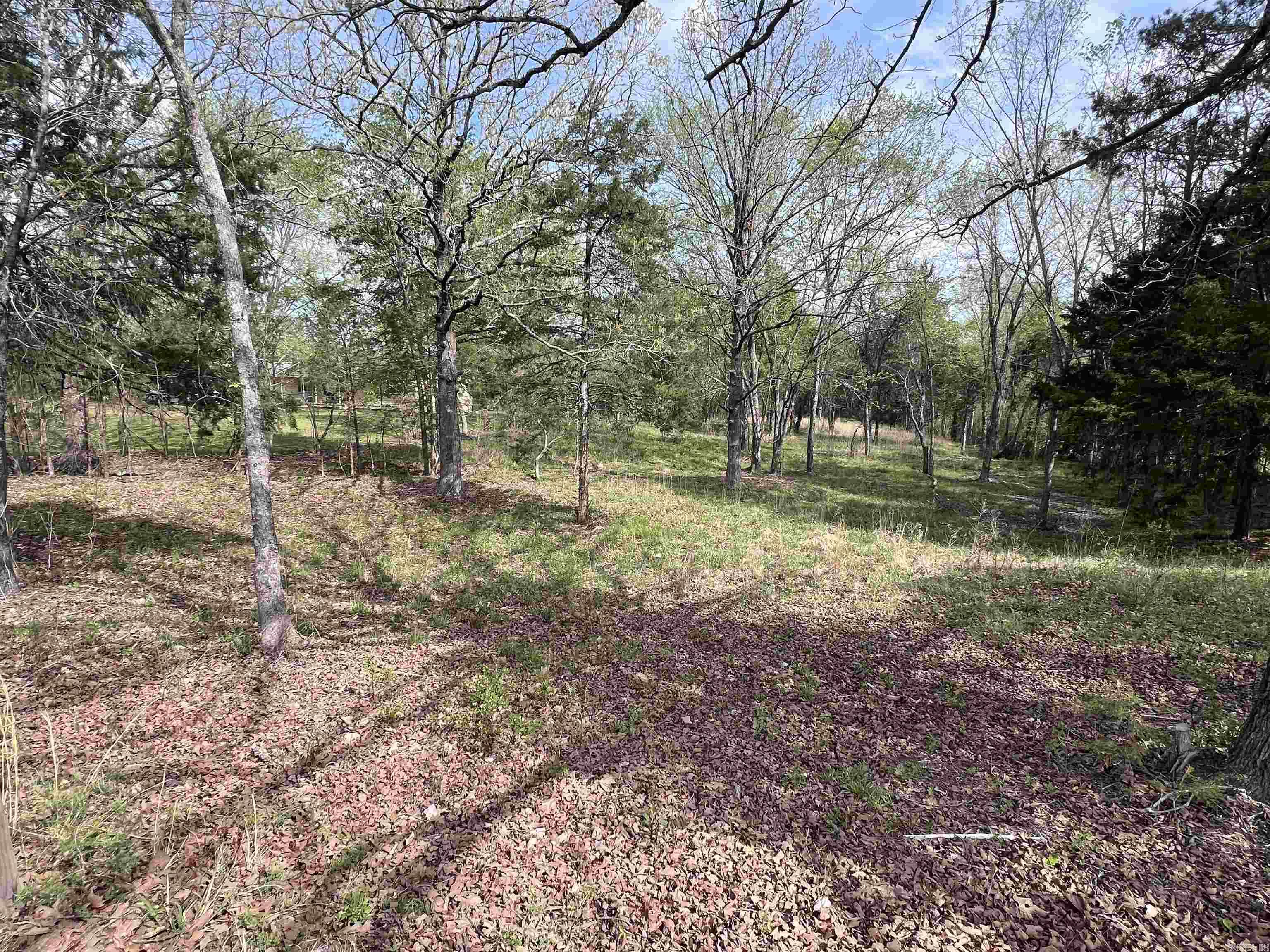 Beautiful 1+ acre to build your dream home.  Located in the Ferndale Area and surrounded by other very nice homes.  Large mature trees still on property and would make the perfect spot just out of town. Just minutes from Costco, Kroger, and the Chenal Promenade. FOR GPS location, put in 17824 Burlingame and it to the right of that address.