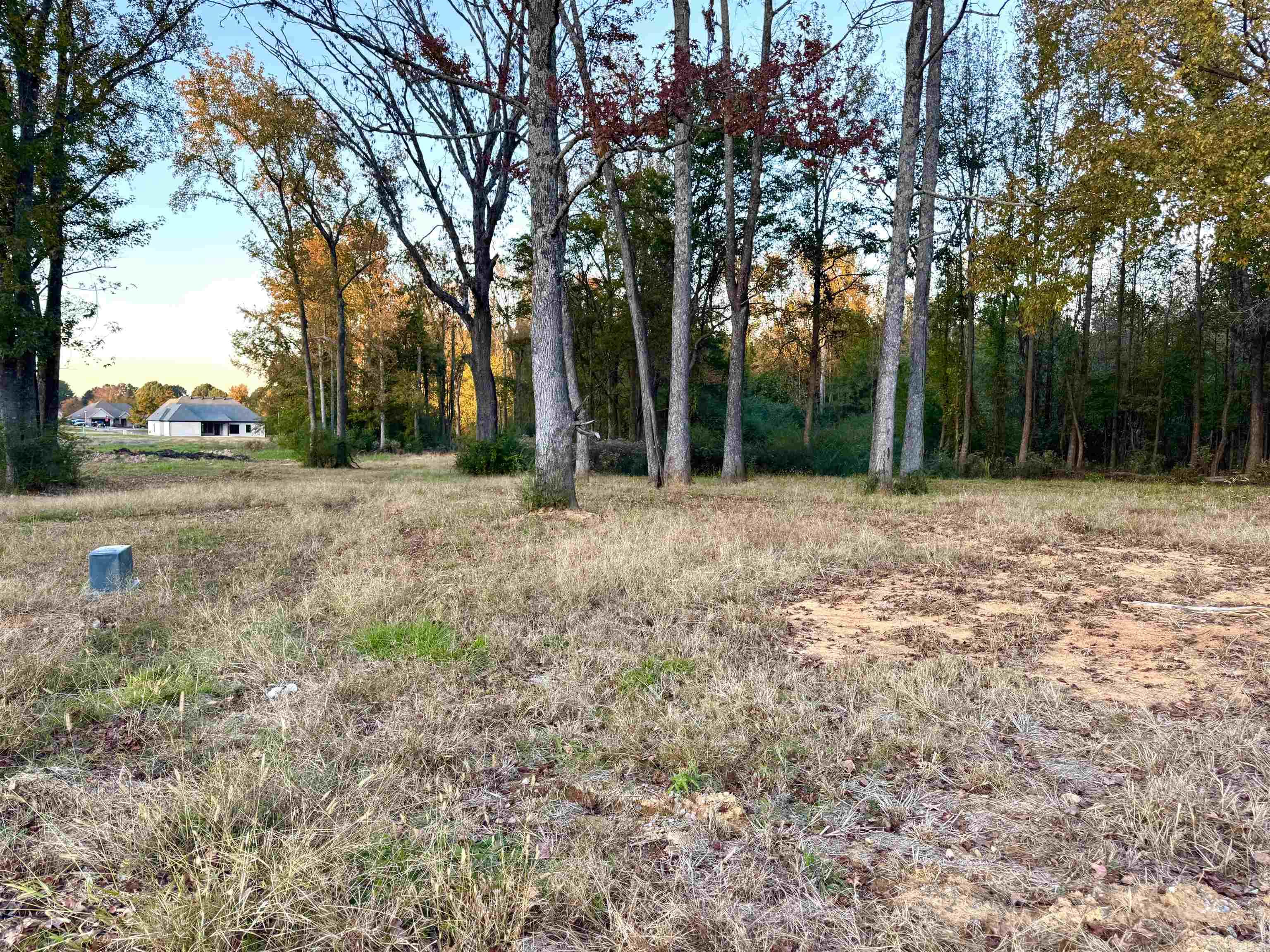 Saddlebrook Estates - Land