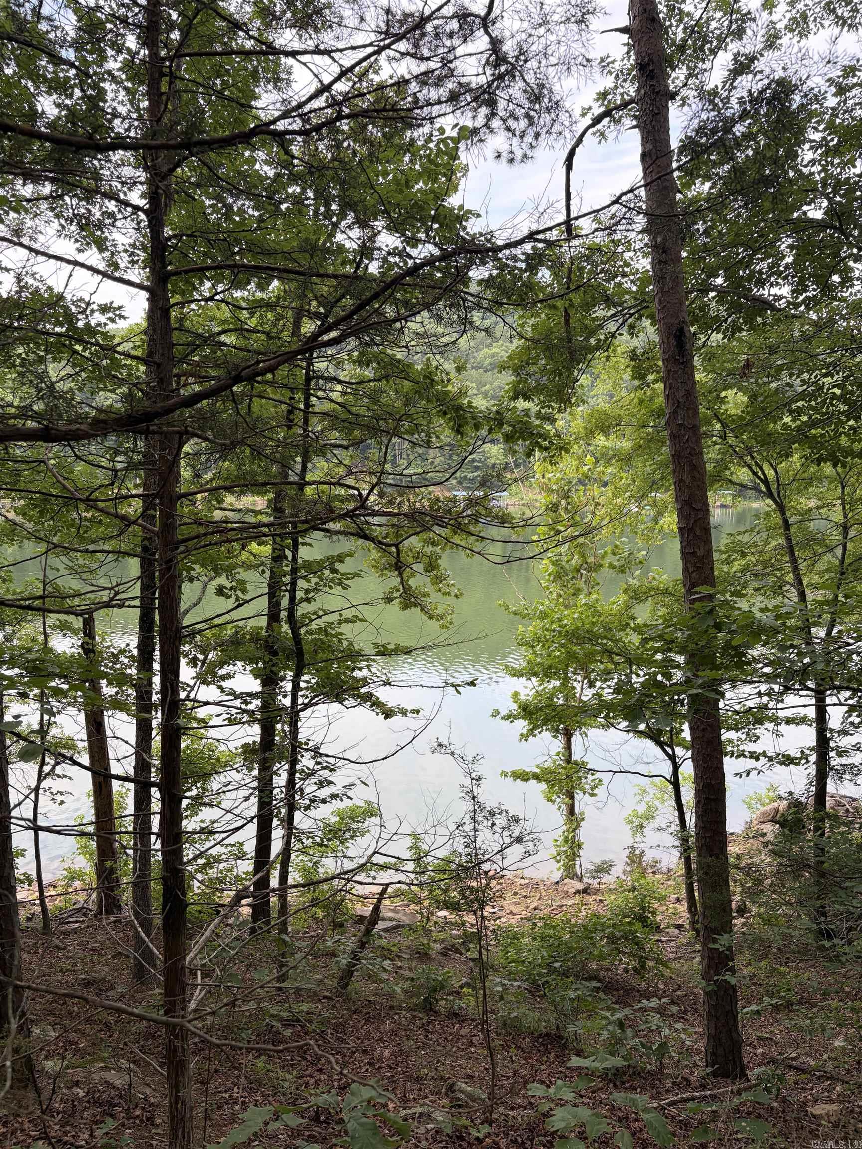 Rare find of 1376+/- of Greer's Ferry Lake frontage. Build you get away on this 33.53 acre tract or just take 10 acres for $125,000. The property offer seclusion with only one home past you on Bear Mountain rd.. This property has a fairly easy walk to the water with great views of the water from the white line. There is currently no power or city water to the property. The seller has made several open areas on the property to park a camper or to built your dream home.