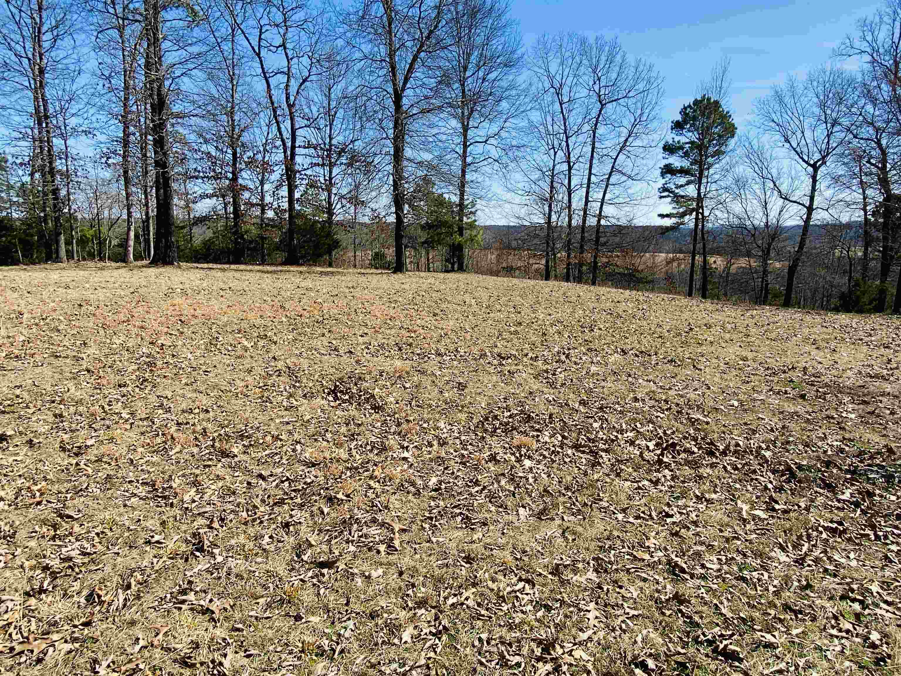 RIVER BEND RIDGE - Land