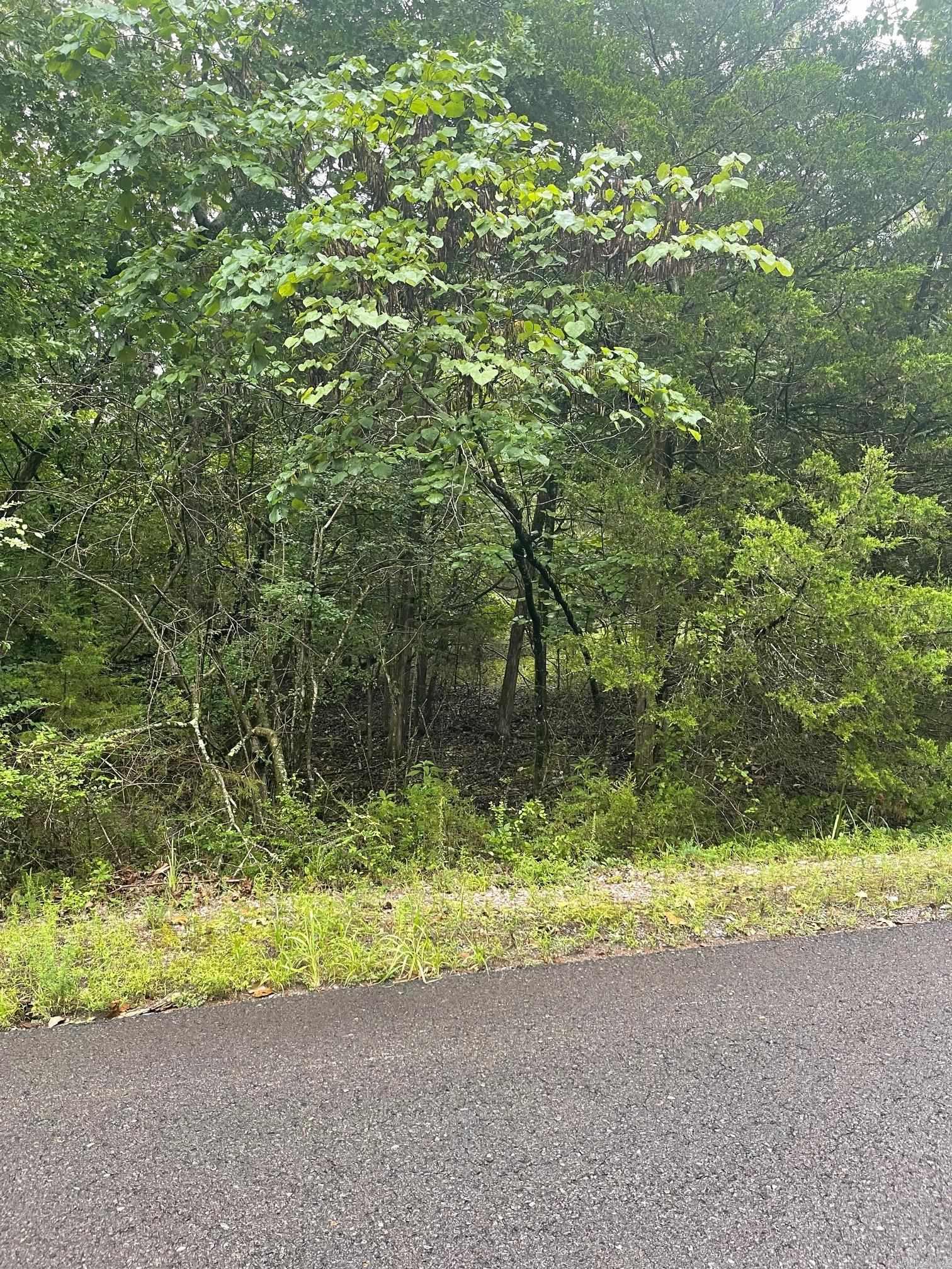 Beautiful buildable lot just minutes from the East Gate!  Boasting 9 golf courses, 11 lakes including a white sand beach, 2 marinas, pickle ball courts, play ground, fine arts auditorium, and much more.  Located in the Ouachita Mountains, Hot Springs Village is the largest gated community in the US.First time buyers will have a $300 fee made payable to the POA at closing.