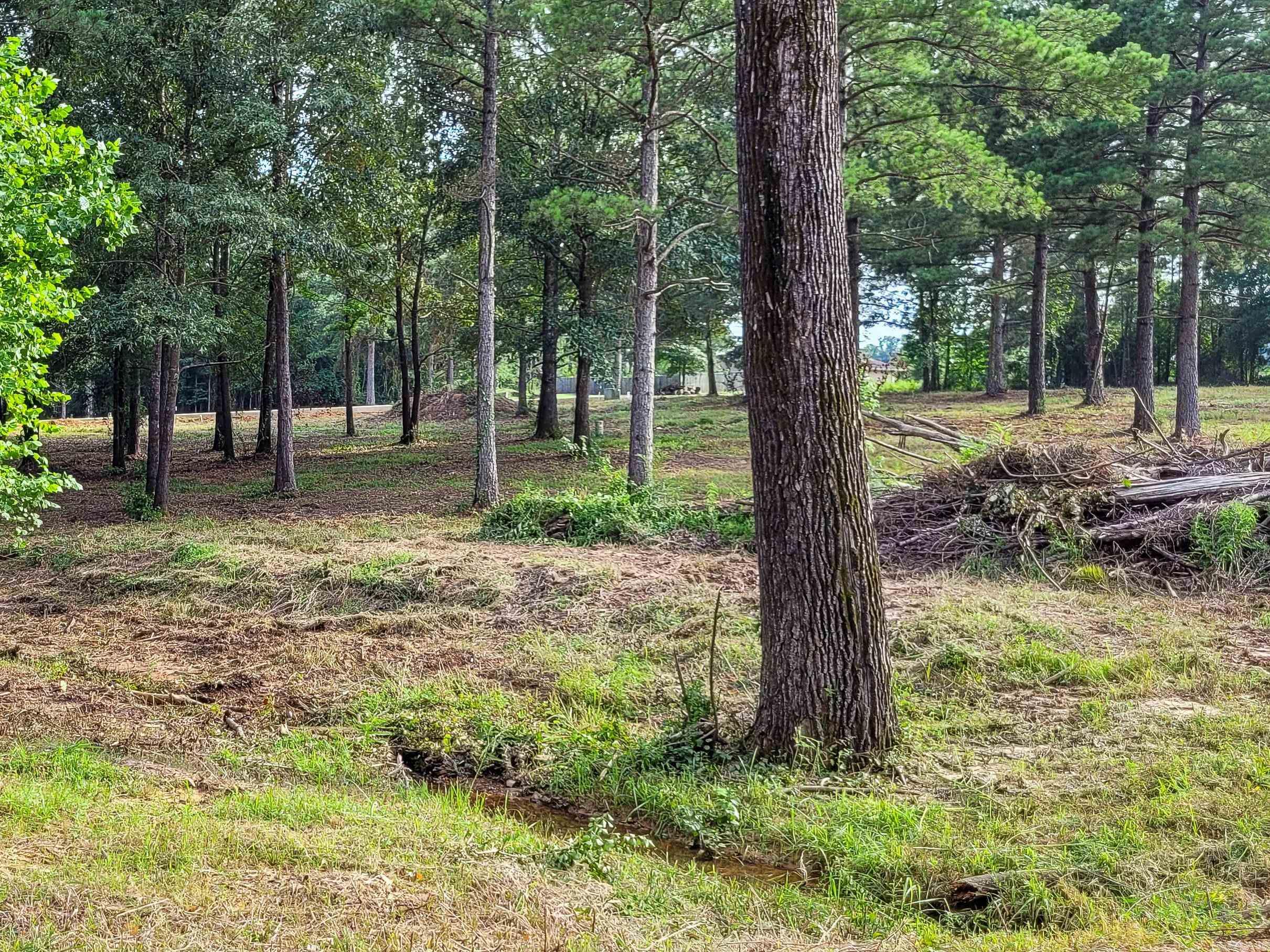 Coulter Estates - Land