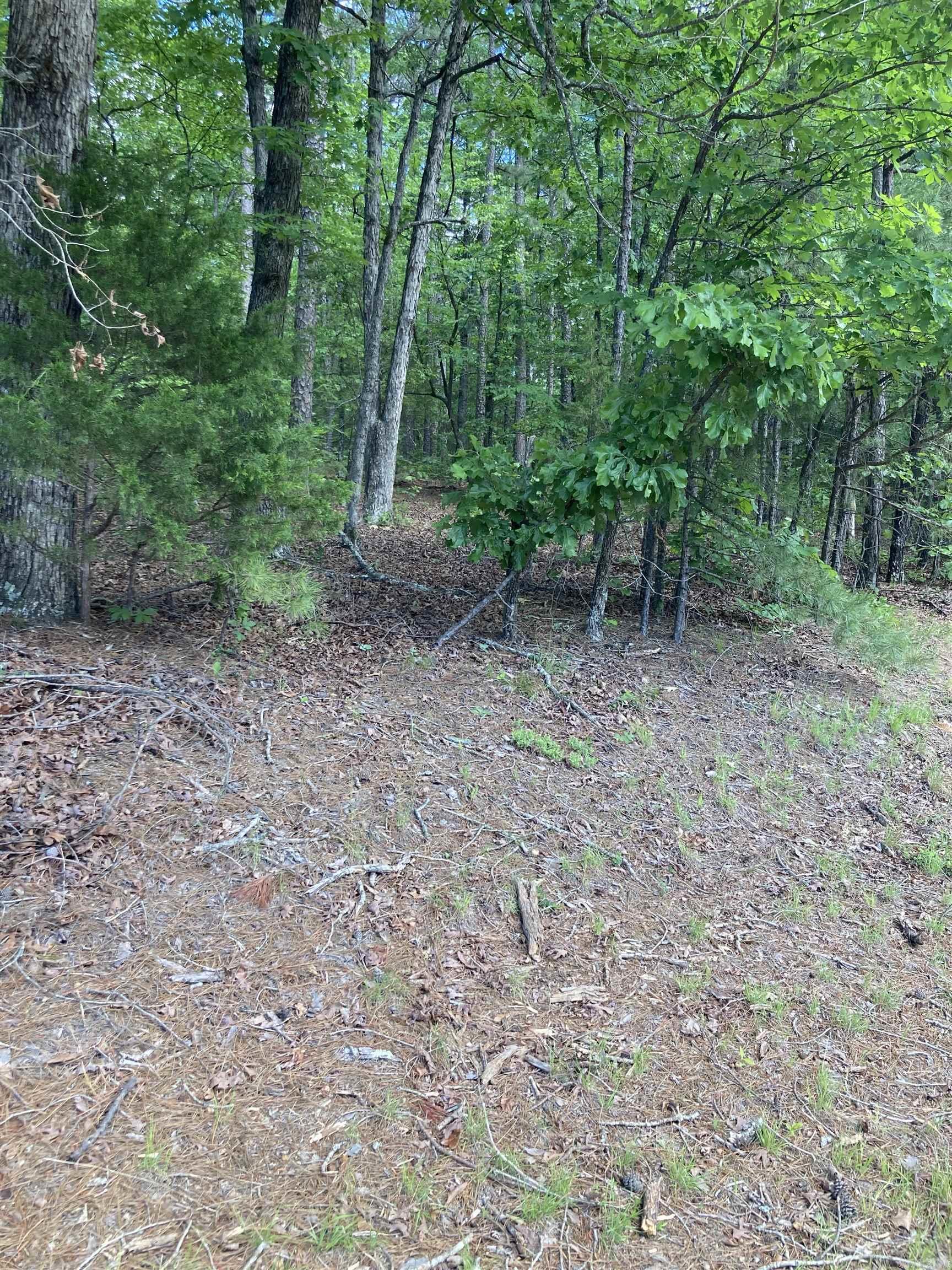 Prime location just before the Village Center of beautiful Fairfield Bay, Arkansas! This premium lot sits right on the main entrance road leading straight to the heart of town.  The busy Cobblestone Inn and Conference Center are a few steps away.  Currently zoned residential, with a future use plan of light industrial which could be office space and more.  See the attached list for more possibilities.  Fairfield Bay offers a plethora of amenities and is only a stone's throw from the breathtaking Greers Ferry Lake & full-service marina which is a haven for fishing enthusiasts, boating aficionados, or those who simply cherish waterside serenity. Fairfield Bay doesn't stop there; it boasts an array of facilities, including three swimming pools, two 18-hole golf courses, extensive hiking and biking paths, ATV/UTV trails, pickleball and tennis courts, and more. Whether it's outdoor excitement, a sociable tennis match, or a tranquil day poolside, Fairfield Bay caters to all. Surrounded by nature, but only 90 minutes to Little Rock, this could be the perfect location for your thriving business to begin.  Agents, please see remarks.  This parcel is also zoned residential if you prefer.