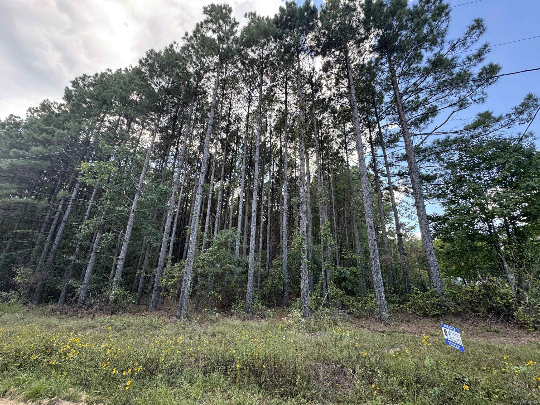 Imagine your own private retreat just minutes from town. This property offers the perfect setting to build your dream home or a peaceful weekend escape. Enjoy the privacy and tranquility today’s buyers desire. Don’t miss the chance to make this rare parcel your own.
