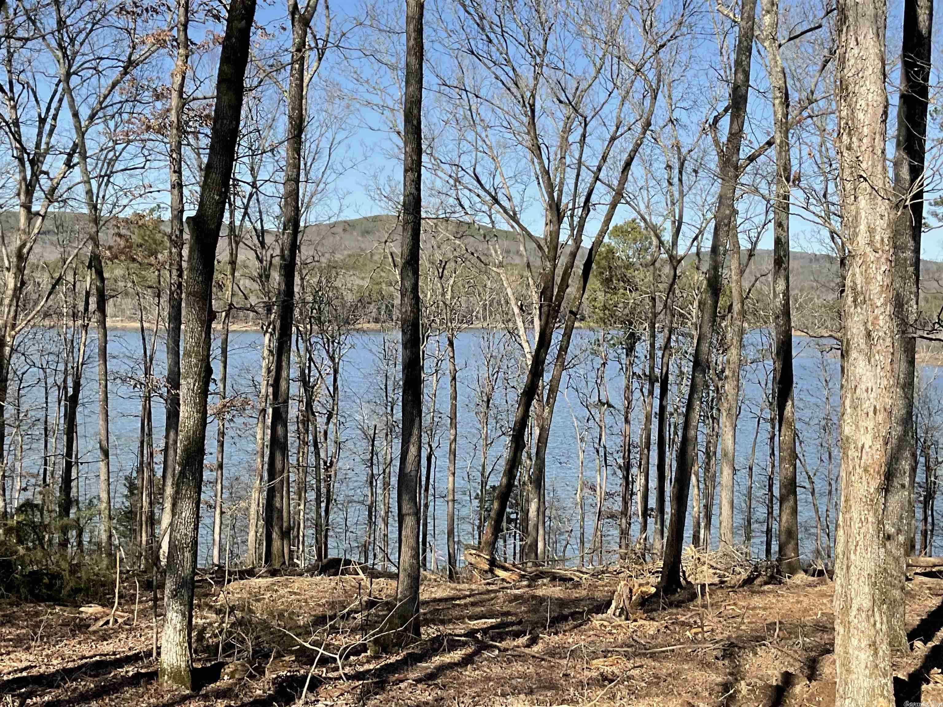 announcing CRYSTAL BROOKE SHORES WITH THE BEST LAKEFRONTAGE OFFERED IN OVER 30 YEARS. Every Lakefront lot is an acre or plus with 175 feet of lakefrontage. Every lakefront lot has incredible lake frontage, incredible open views, gentle slopes. No COE redline except for a very small area on Lots 13 & 14 (see plat) so build to the COE white line. TRUELY UNBELIEVABLE PARADISE. Located on the Devil's Fork part of the lake & you can see all the way down to the Edgemont Bridge. City water, blacktop roads to be installed, all lots to have septic system, (permit is provided). Off lake lots will have lake access & some of these have great views.  You must see Crystal Brooke Shores.