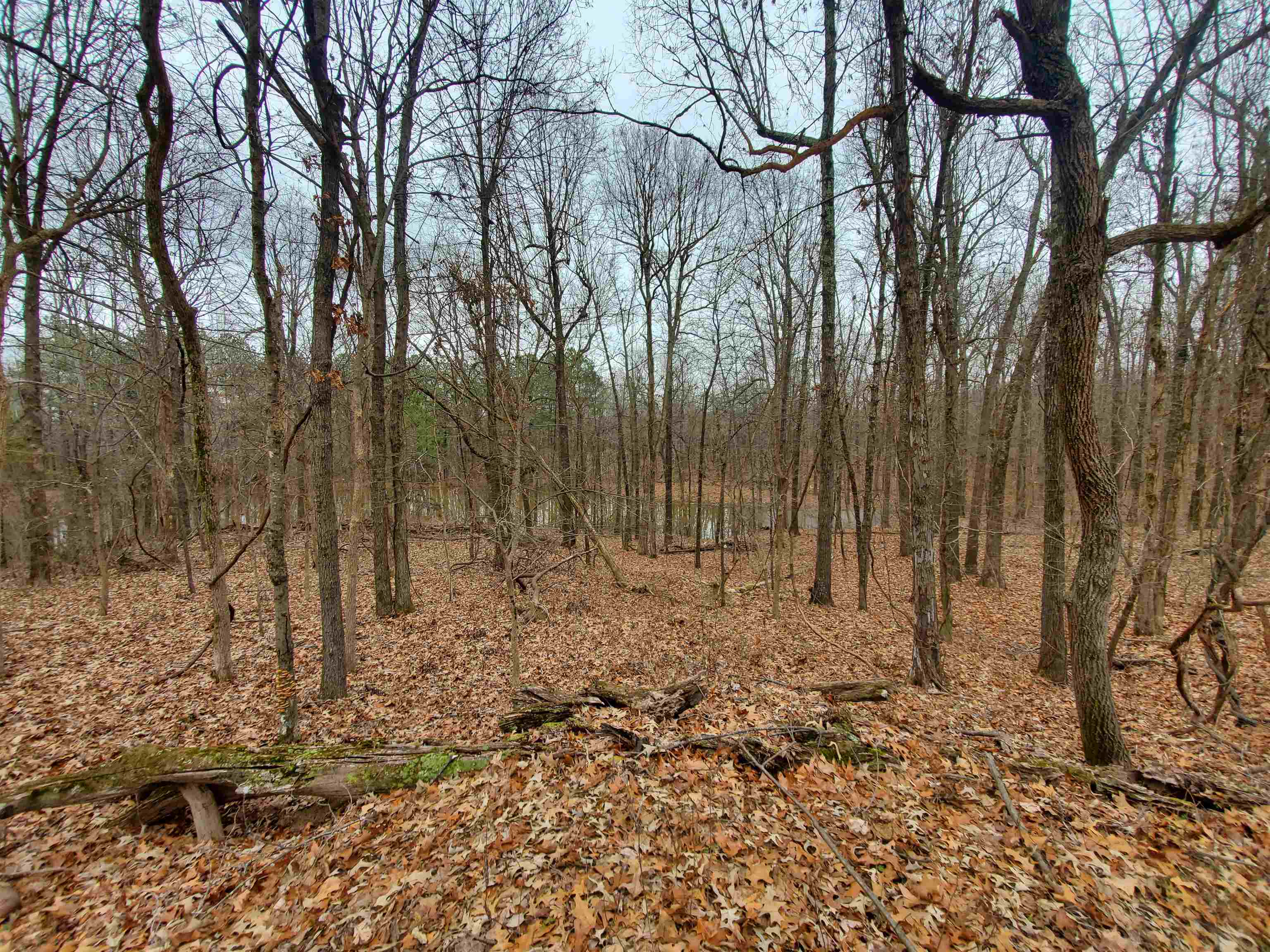 Not in Subdivision - Land