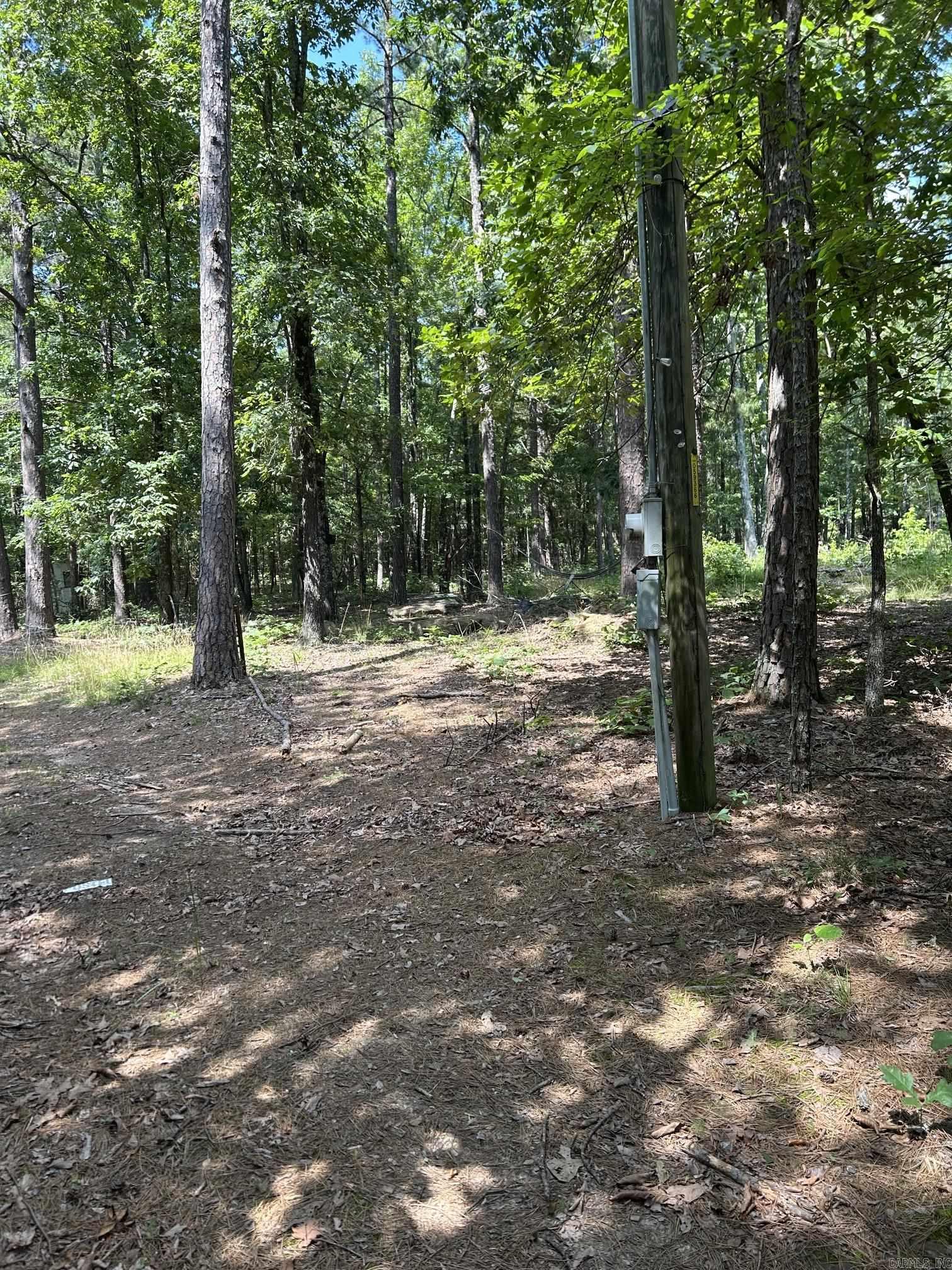 Escape to your own private retreat with this beautiful 20 acre property of hunting land featuring a cozy cabin complete with indoor plumbing, well, electricity and a septic system. The property also features a scenic pond and wet weather creeks, level terrrain and a mix of hardwoods and pines. Lots of room for building your own dream getaway! Property sold "as is". SEE AGENT REMARKS