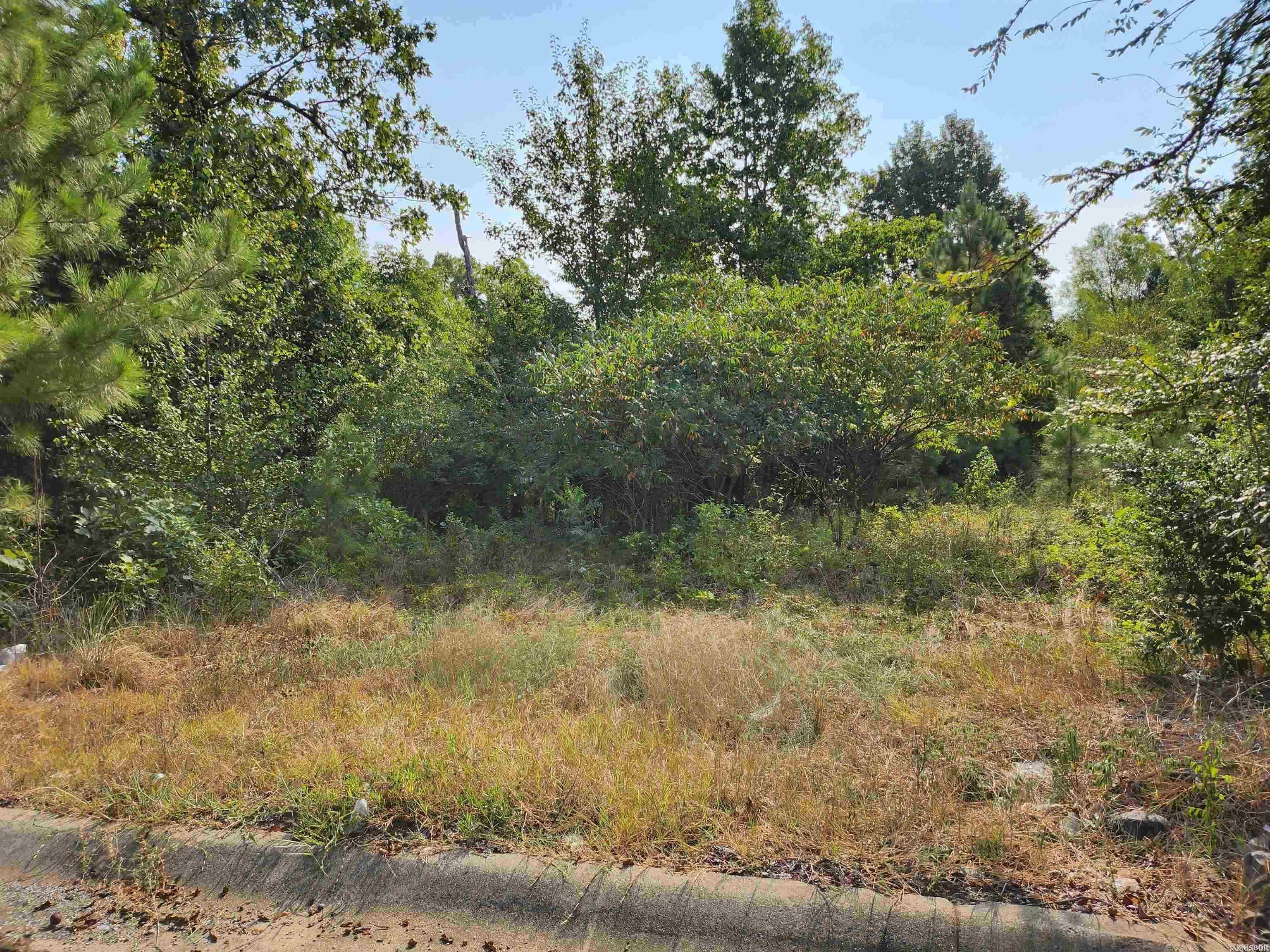 Just under 10 acres in Lakeside School district. This land is in an area of new duplexes, which would be a good use of this property as well.