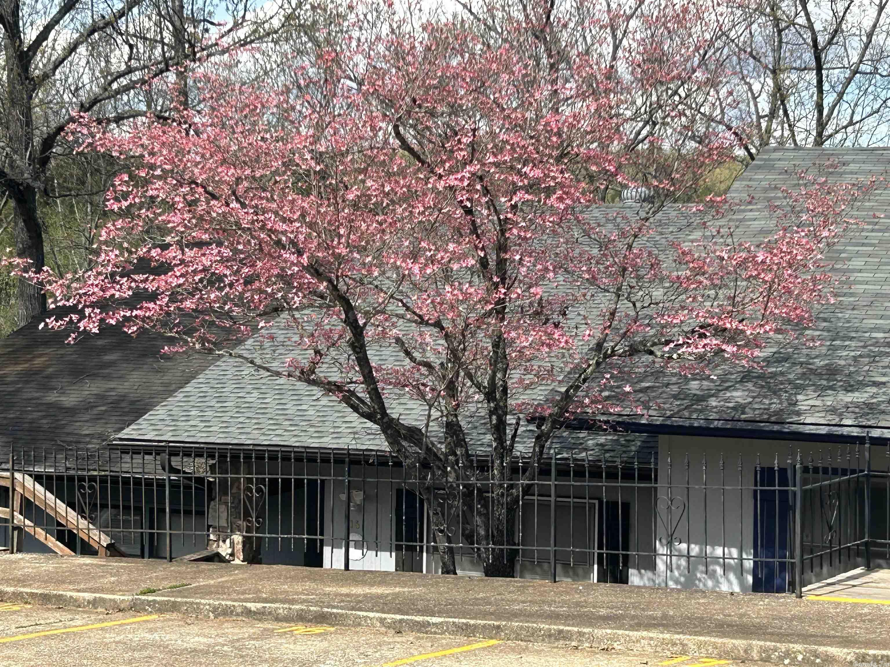 Avail Feb 1st-Two-level Townhouse in Cherokee Village! All elec, central h/a (ductwork recently cleaned), laminate flooring. Enclosed Arkansas room with a view of a wet weather creek and wooded area.  Fridge/stove/dishwasher/washer/dryer included. Near City Hall, The South Fork Spring River, and Lake Thunderbird. Tenants can have access to indoor community pool just across the street.  Just a short distance to local restaurants and shops! All applicants 18+ must complete an application.  We do a credit and criminal background check. Pest control is an additional $20/m (required). Renter's or Liability Insurance is also required. Pets Are Not Permitted