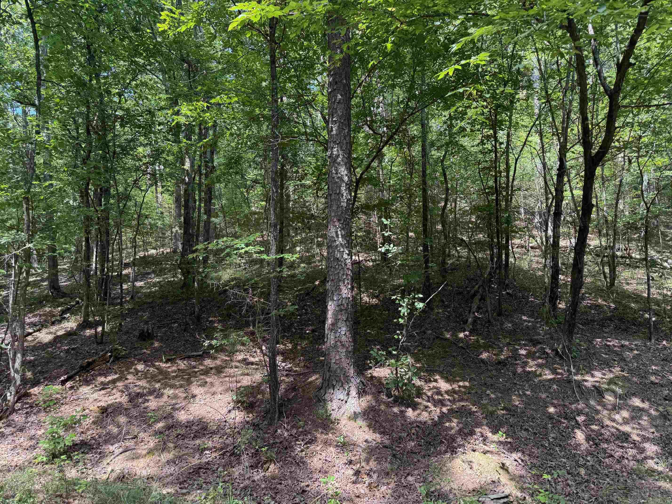 Large chunk of acreage along and on parts of both sides of Mountain View Drive in the Heart of the Bike Trails!  This Property is in the city Limits with utilities available.  Nice Building spots along the ridges on this Property.