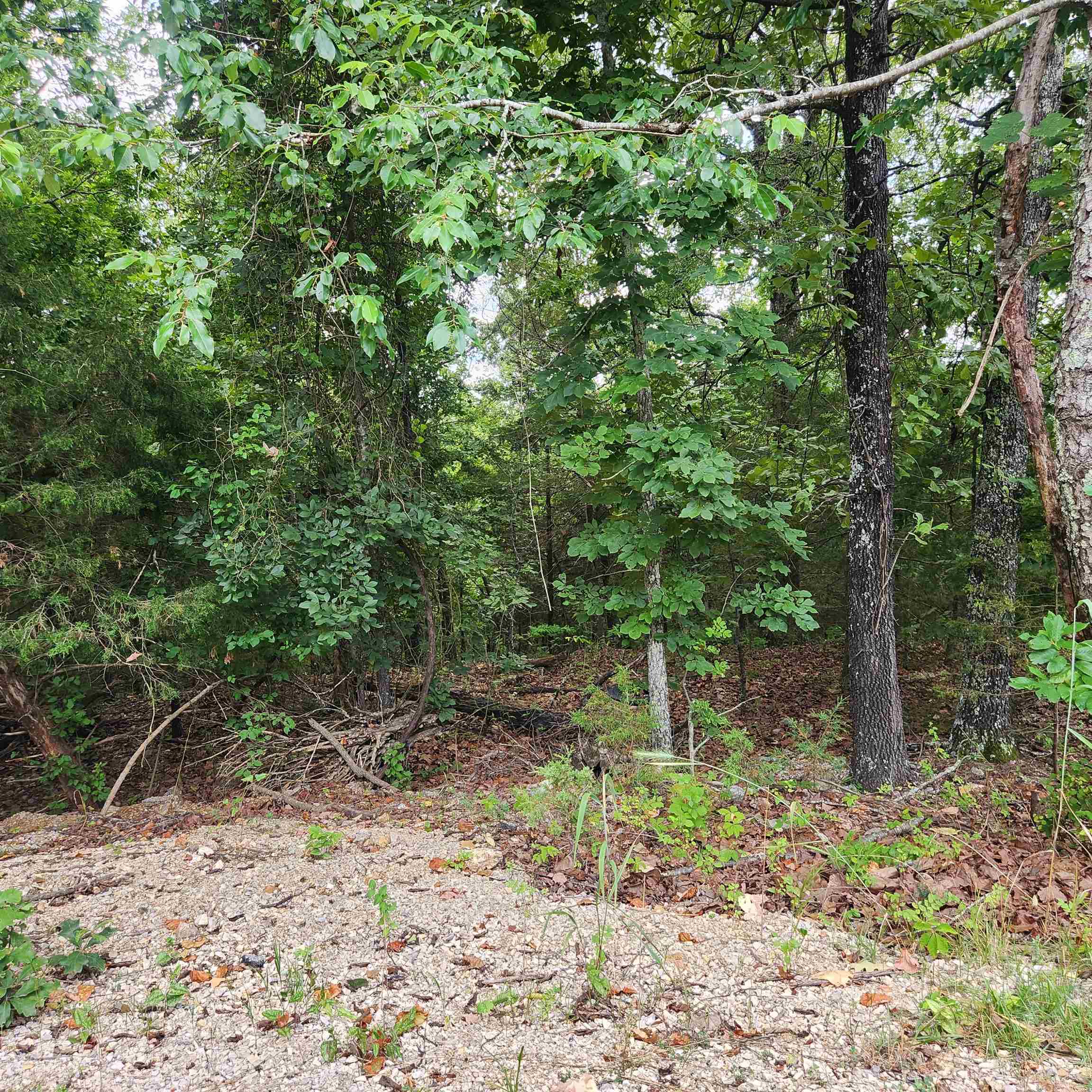 Wonderful and wooded lot in the heart of Cherokee Village. Secluded and away from it all. Buy this lot and pick your spot to build your dream home or just a getaway cabin. With ownership of this lot you have access to all the amenities of Cherokee Village such as the lakes and golf courses and Thunderbird Center and swimming pool, mini golf, parks, hiking trails and don't forget about the beautiful Southfork River.