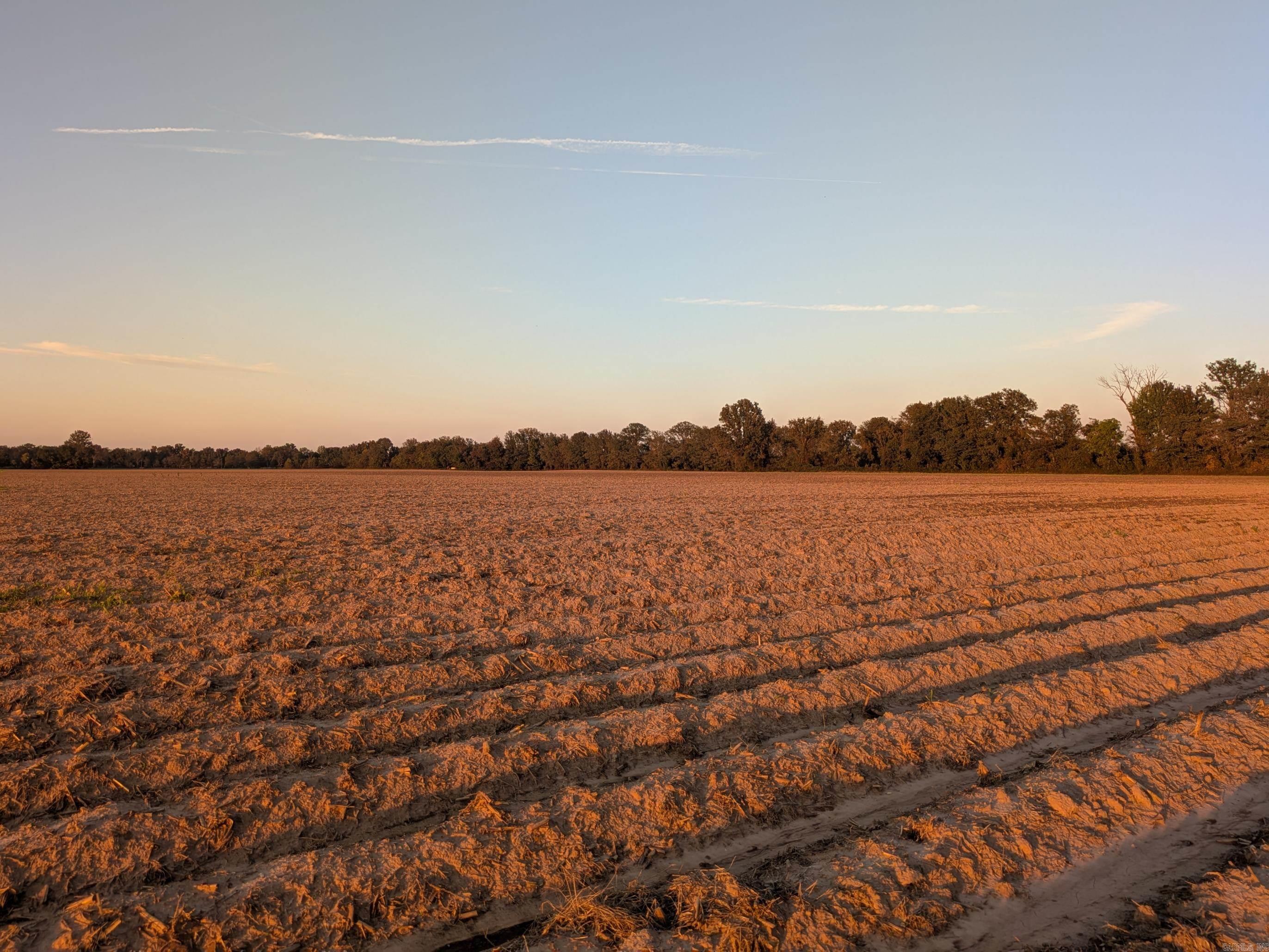 Desha County - Farm