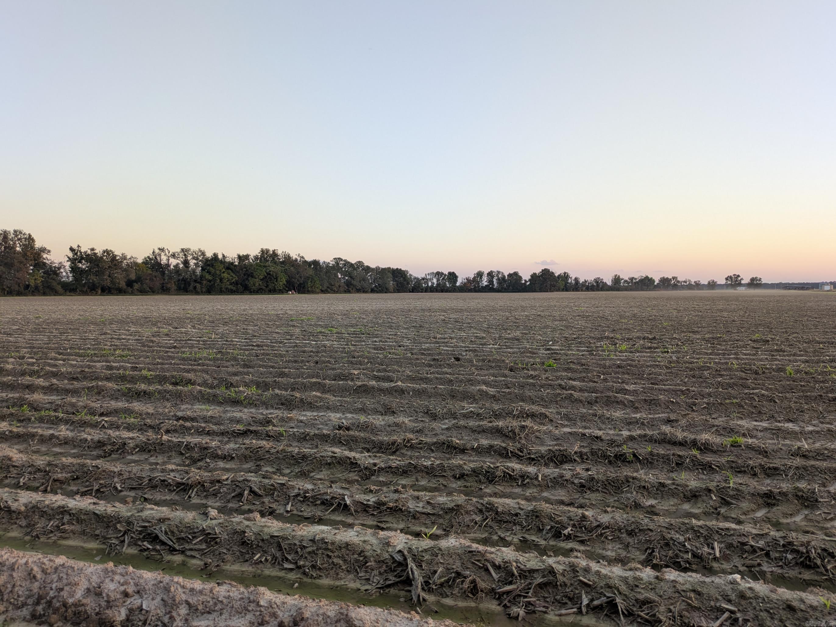 Desha County - Farm