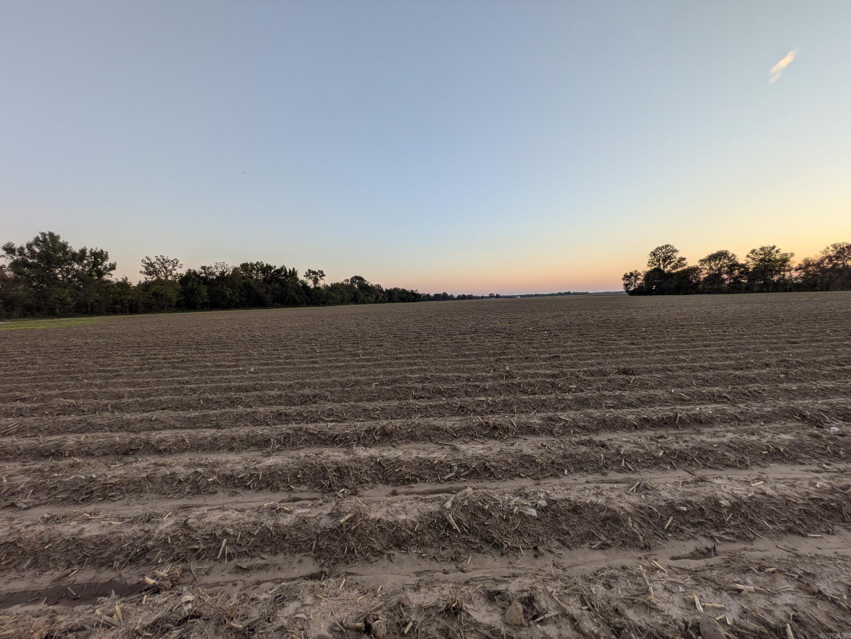 Desha County - Farm