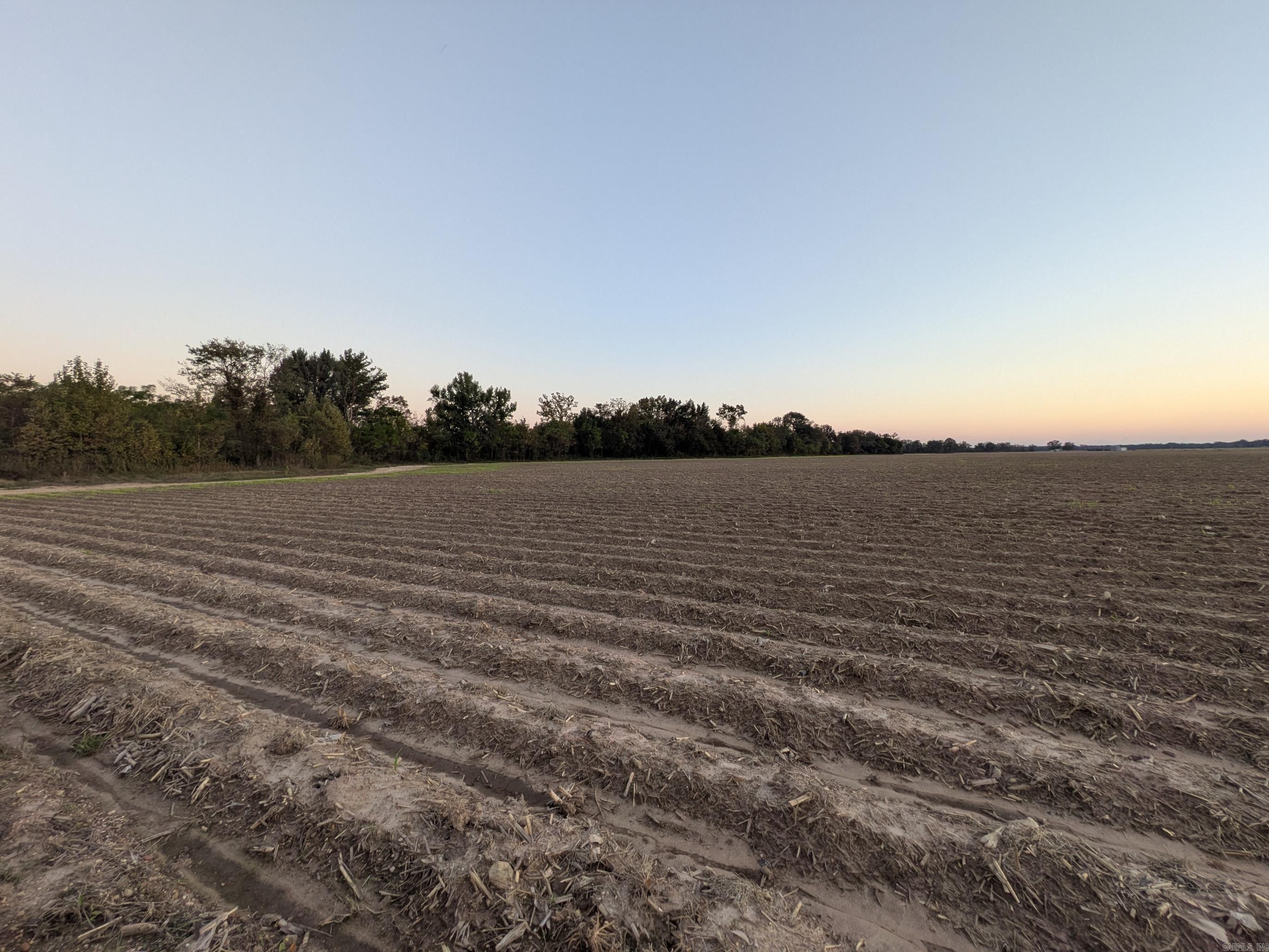 Desha County - Farm