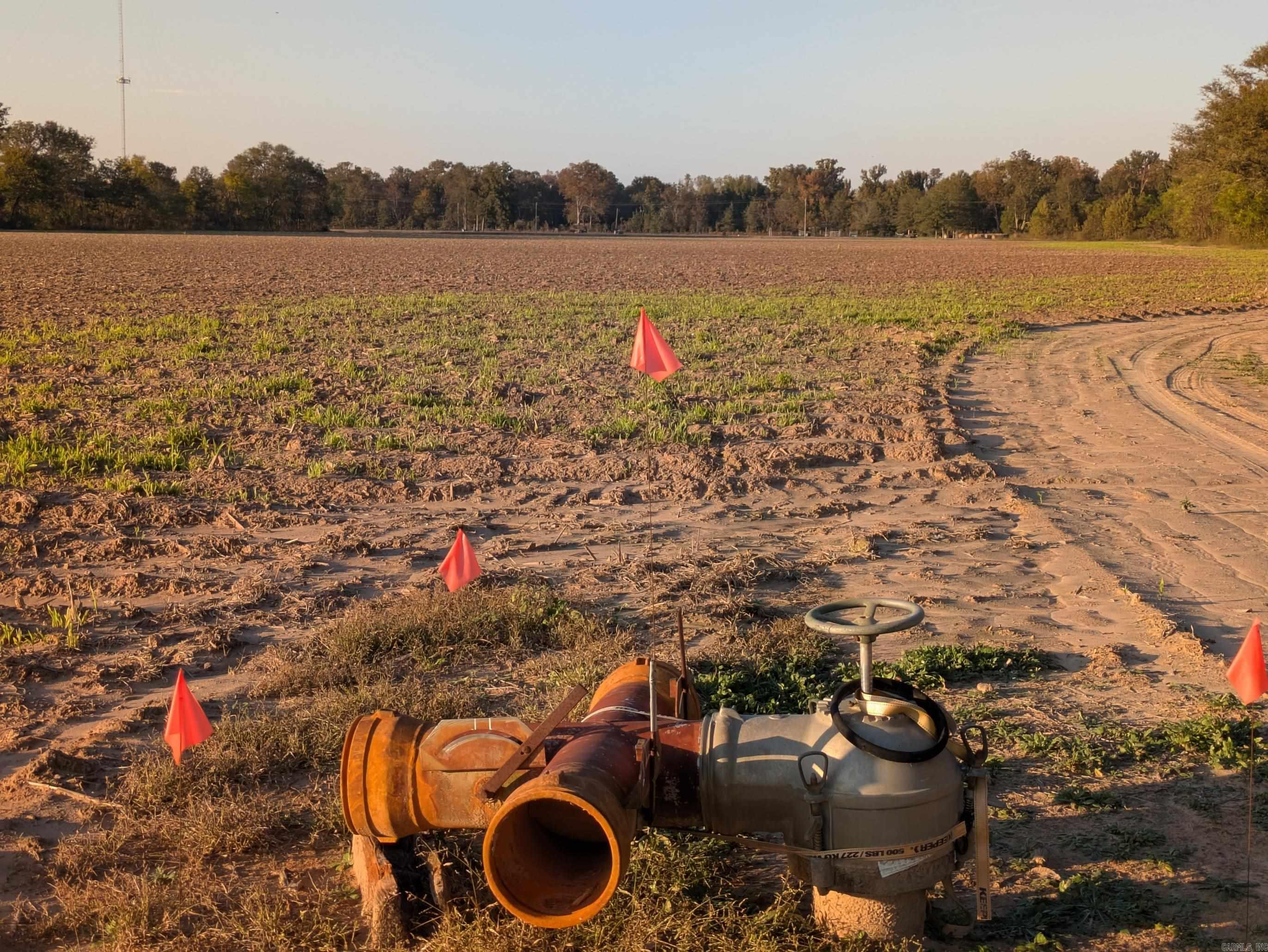 Desha County - Farm