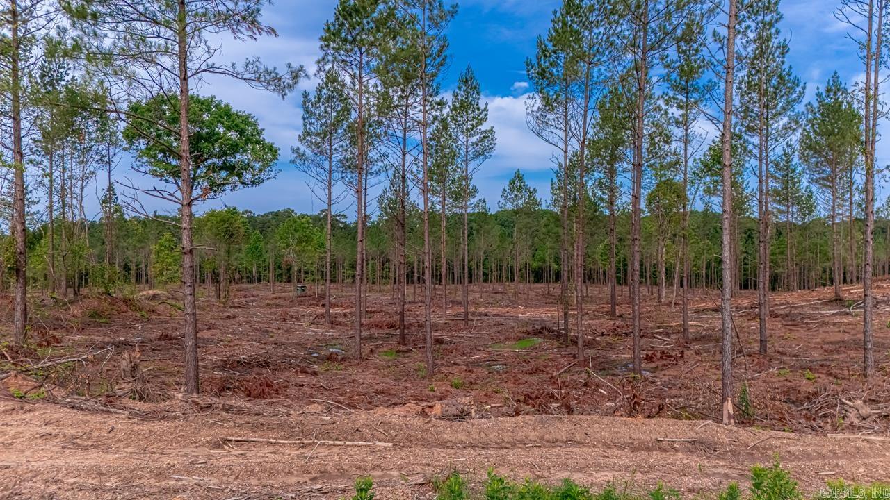 Approx. 8 Acre tract in a great location with lots of privacy. No mobile homes allowed and minimal deed restrictions. You will not want to miss out on this great opportunity. Call to pick yours out today. Already perked and surveyed. NO SPD