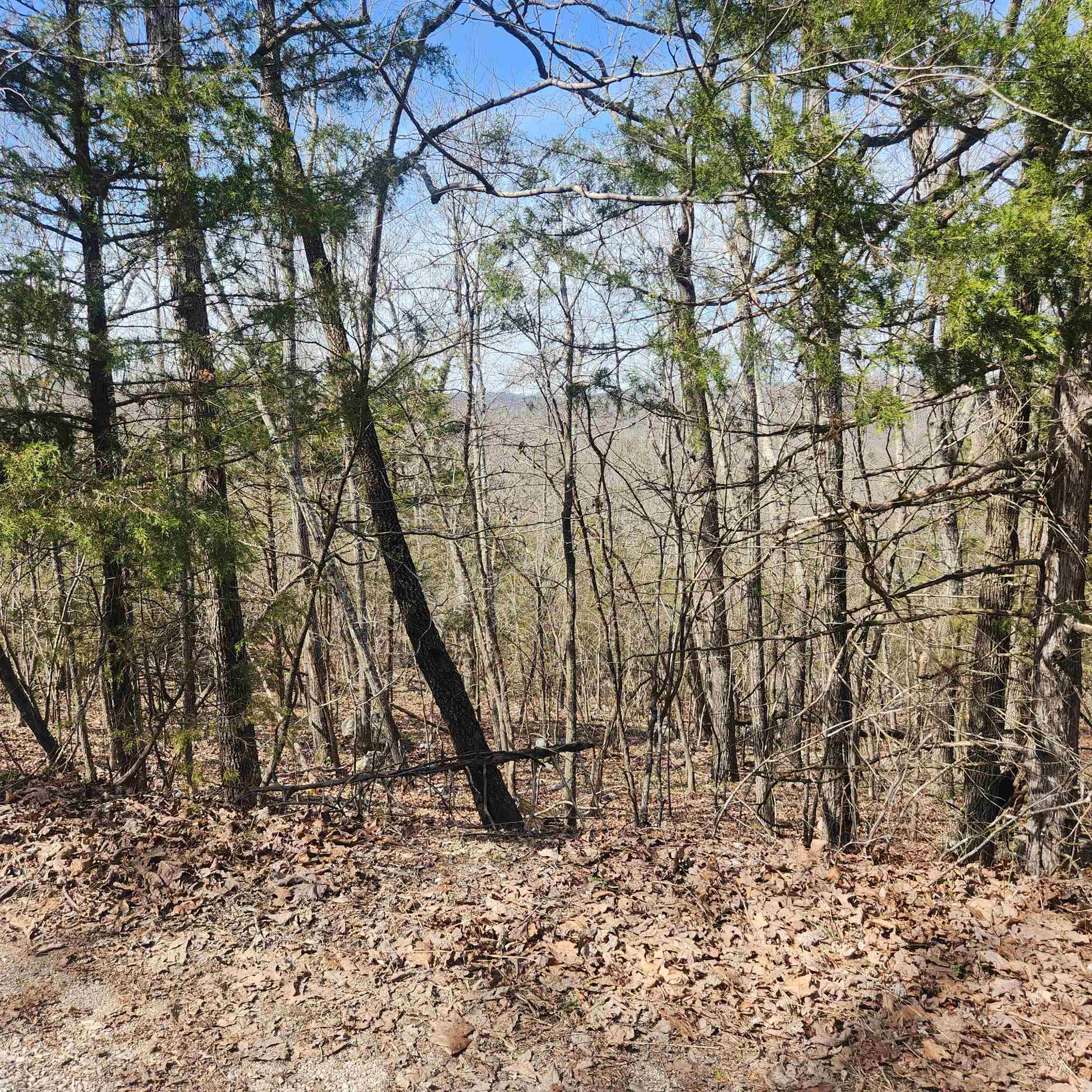 Secluded lot, but still right in the heart of the Village. only one neighbor's house on this road. Wooded lot with lots of trees. It is just a short distance from the town center and water fall from lake Cherokee into Papoose Park; less than a mile. It's just over a mile to Lake Thunderbird and the recreational center. Cherokee Village has 7 lakes, 2 golf courses, 2 rec centers and the wonderful Southfork River for your enjoyment.
