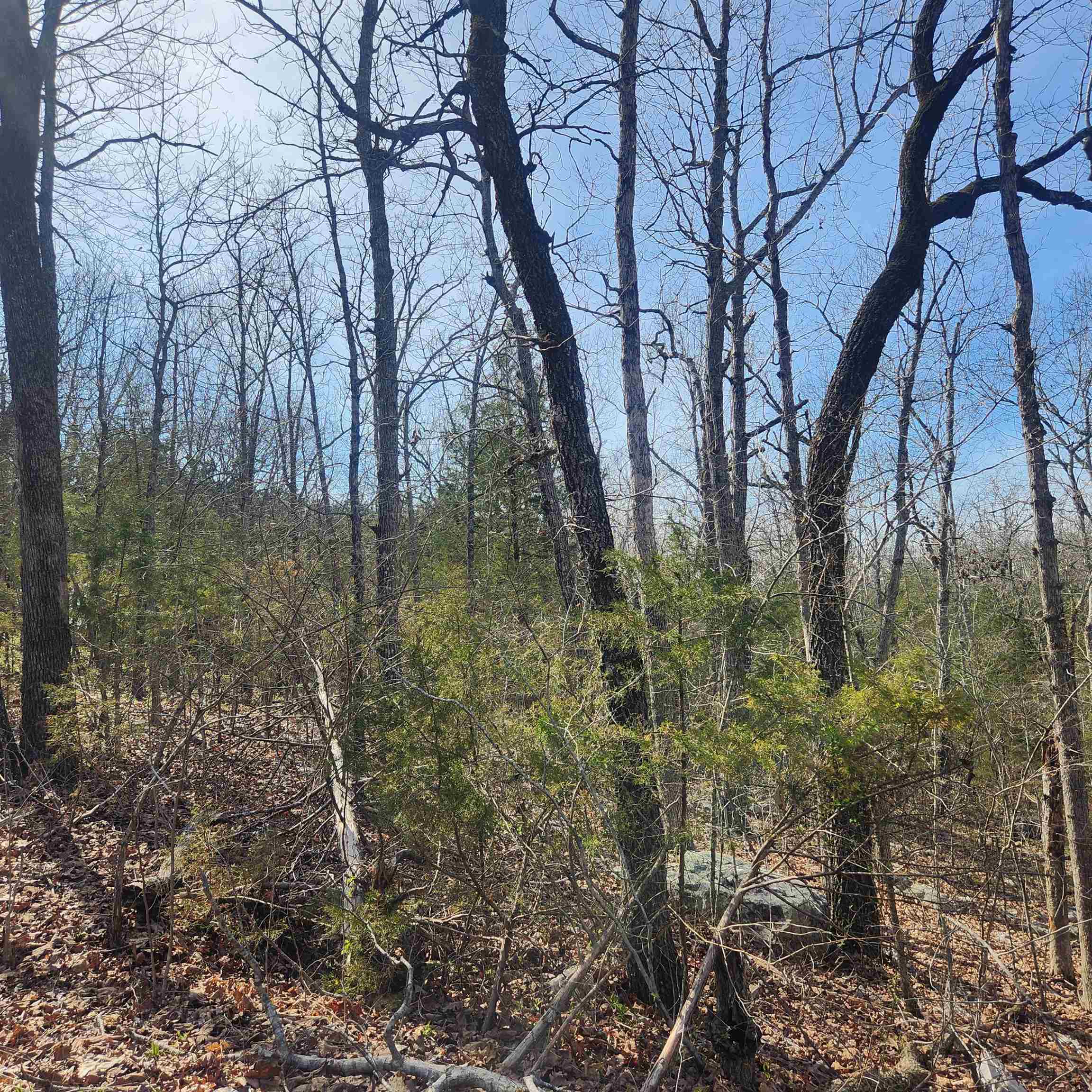 Broken Bow - Land