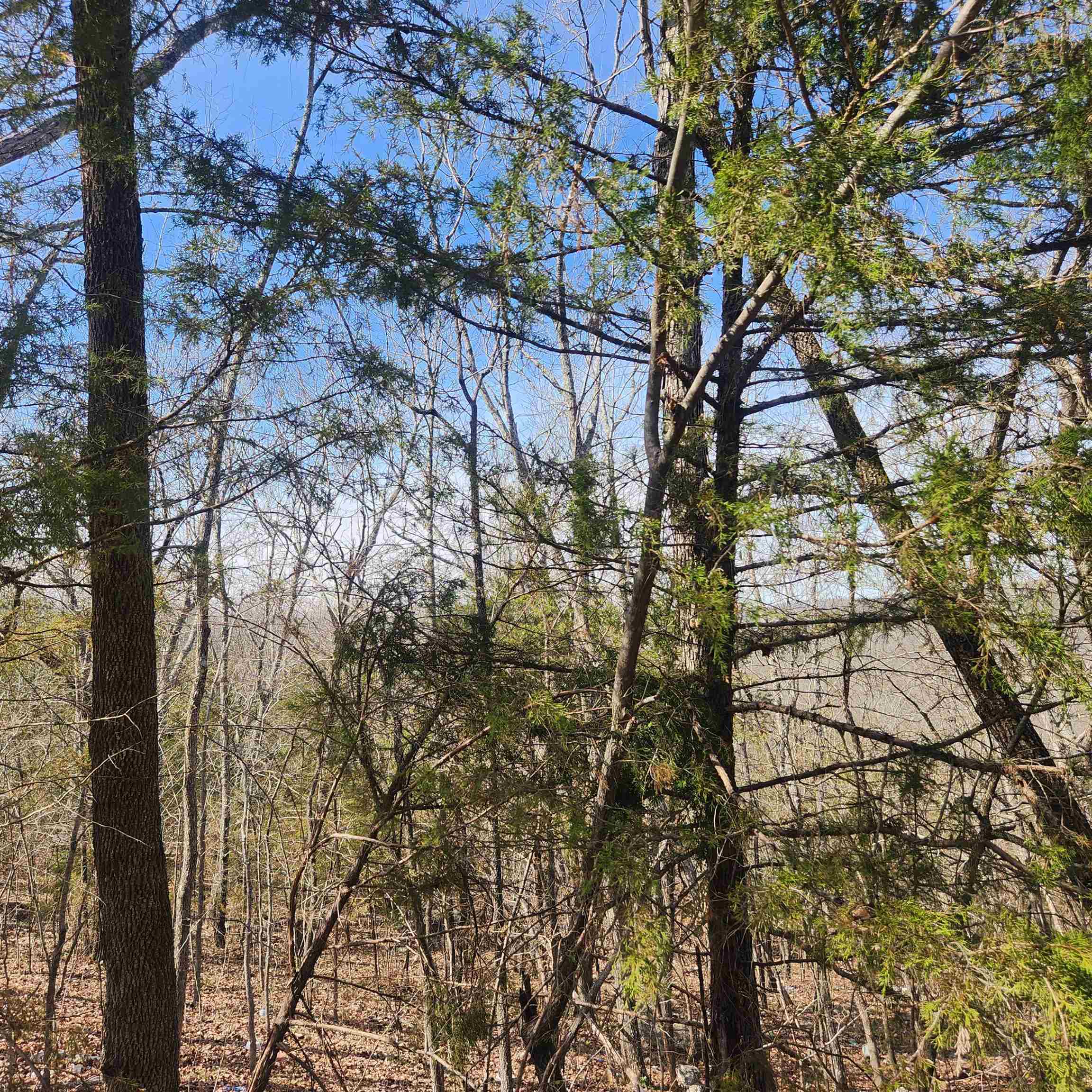Broken Bow - Land