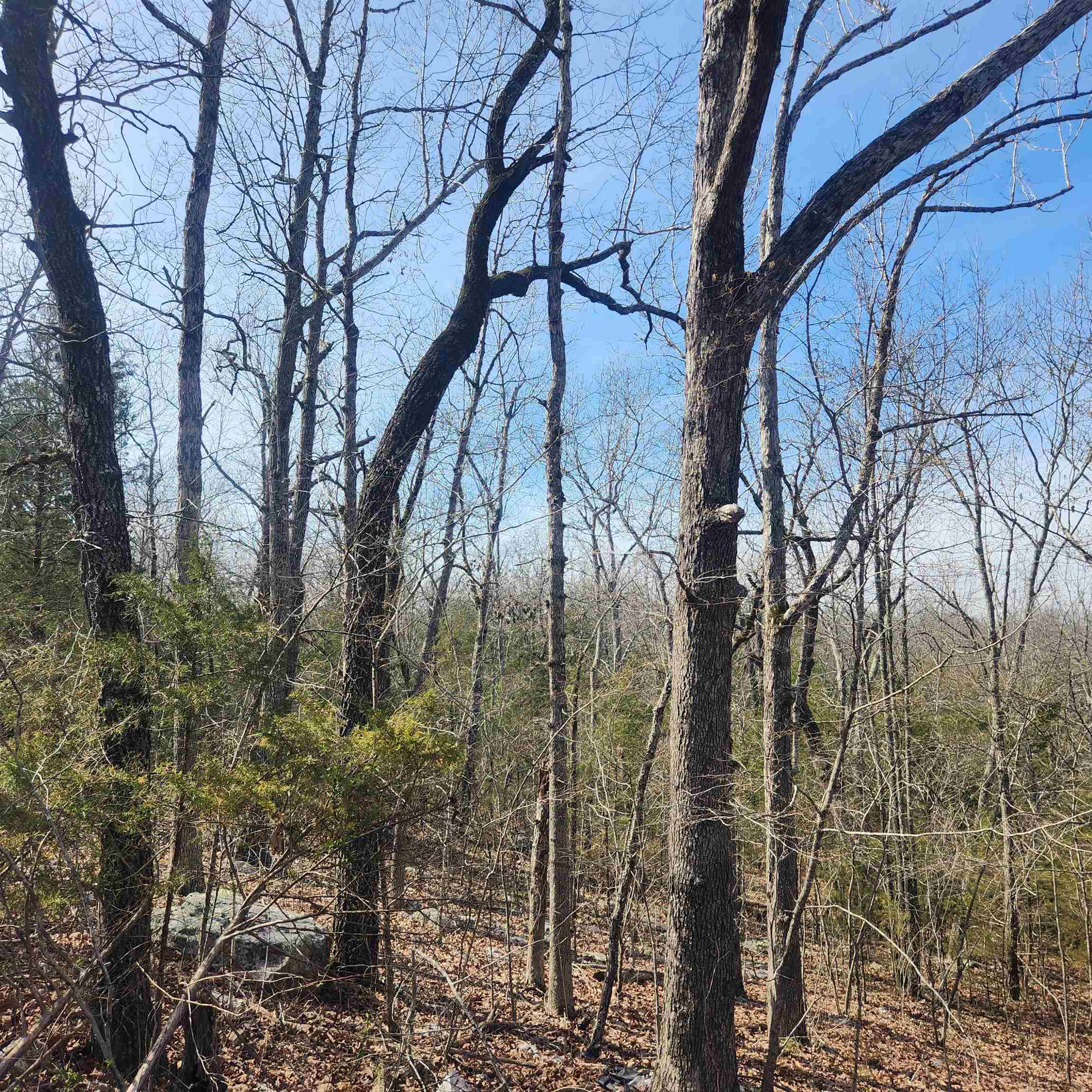 Broken Bow - Land