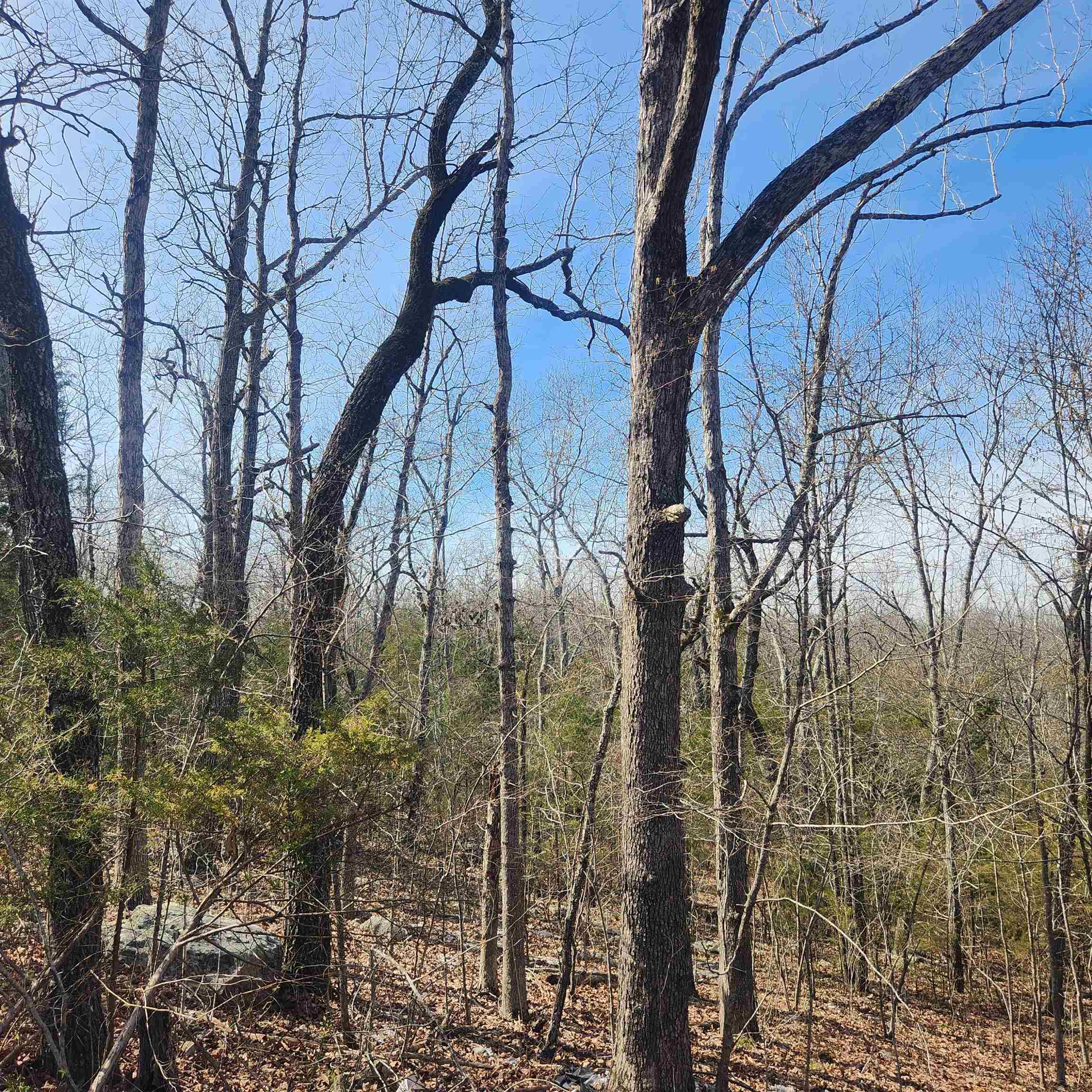 Broken Bow - Land