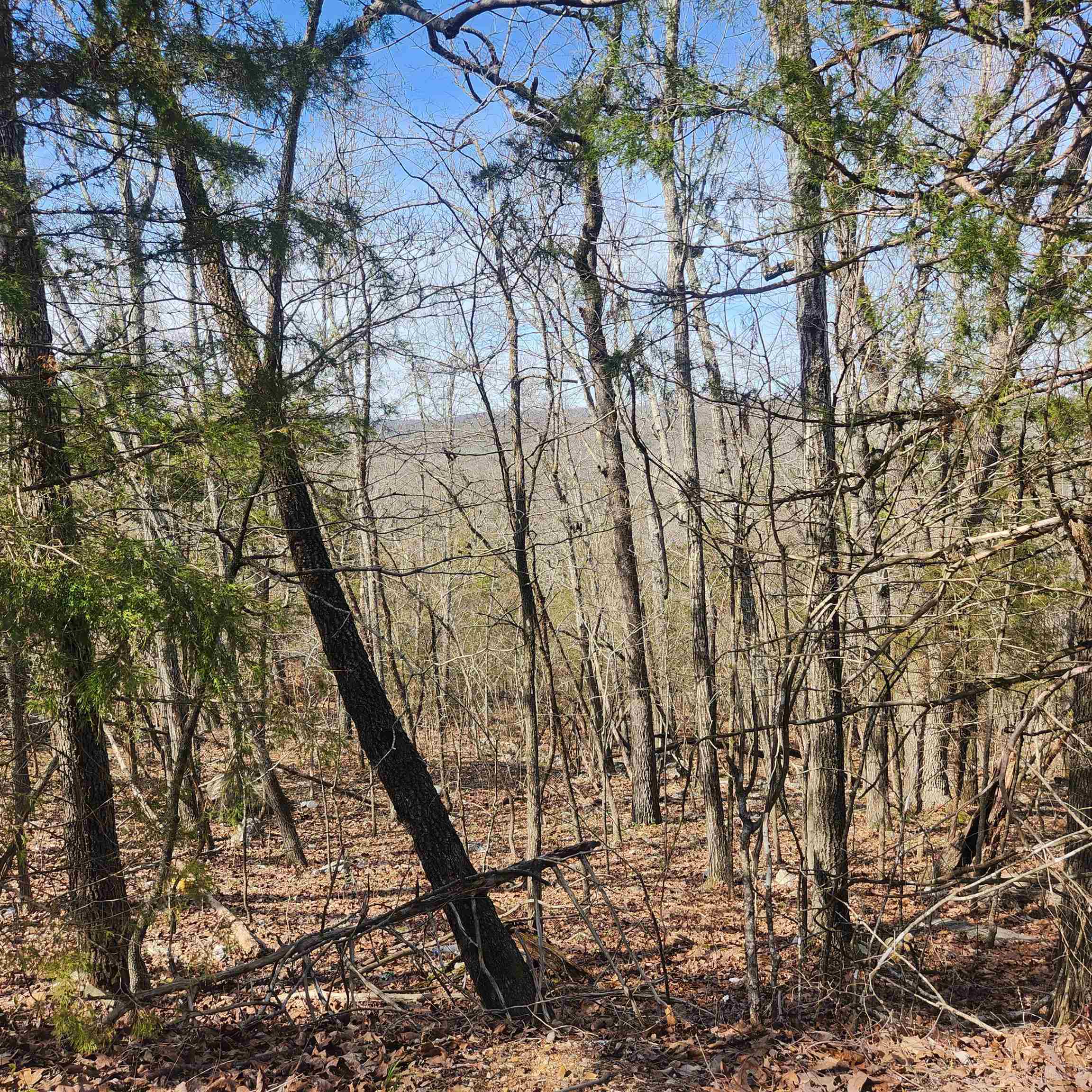 Broken Bow - Land