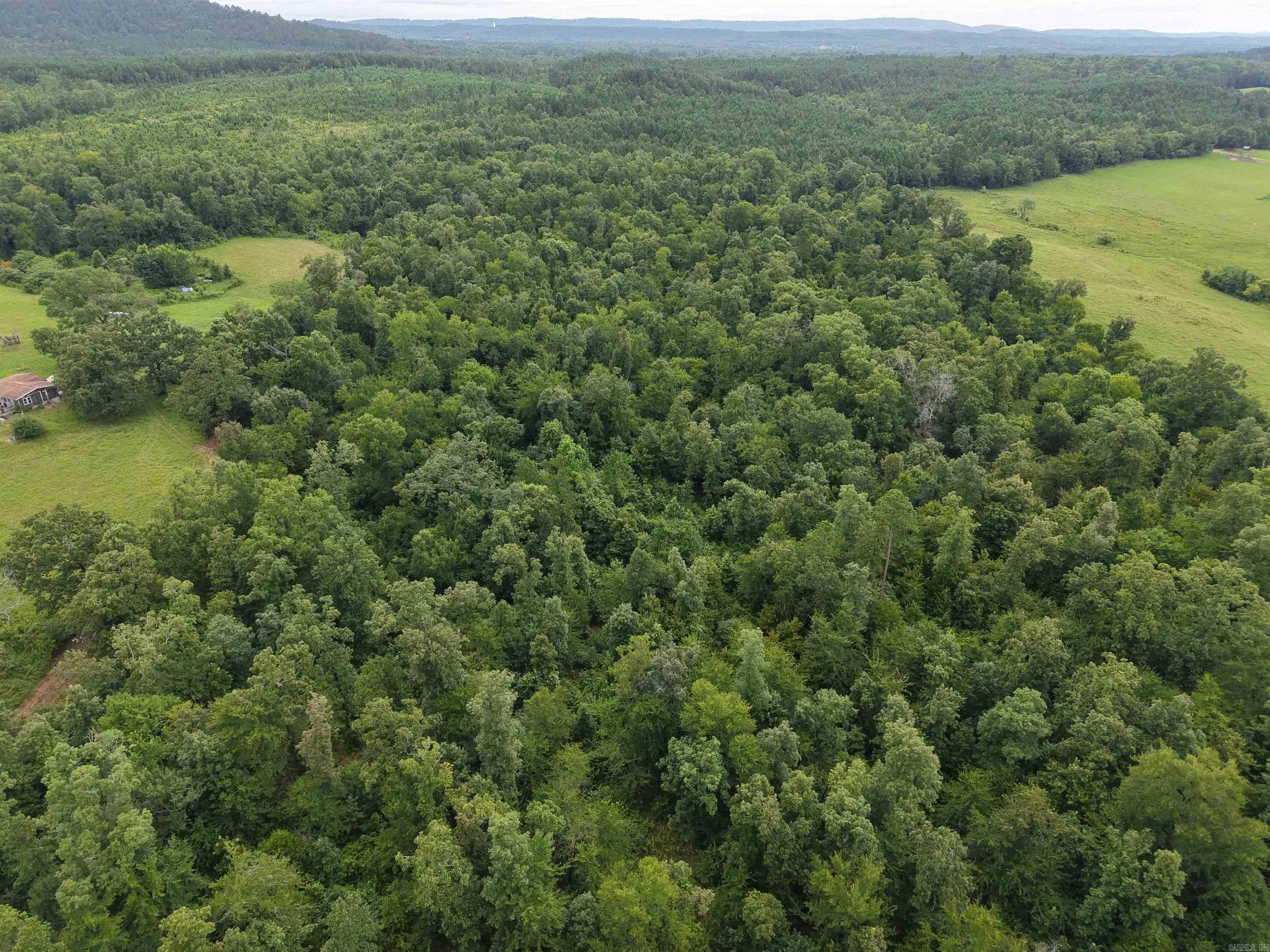 Discover the perfect blend of privacy and convenience with this beautiful 25± acre property on Nubbin Ridge Road. Tucked away in a serene, secluded setting, yet just minutes from town, this property is ready for your dream home or weekend retreat.  Recent improvements include a new driveway, a cleared homesite ready for construction, and mulched acreage that makes the land easy to explore and enjoy. The property features mature timber throughout, providing both natural beauty and investment potential.  Additional highlights include two natural springs, a new survey, and a power box already installed on-site from neighboring property.   Schedule your showing today and experience the beauty of Nubbin Ridge for yourself!