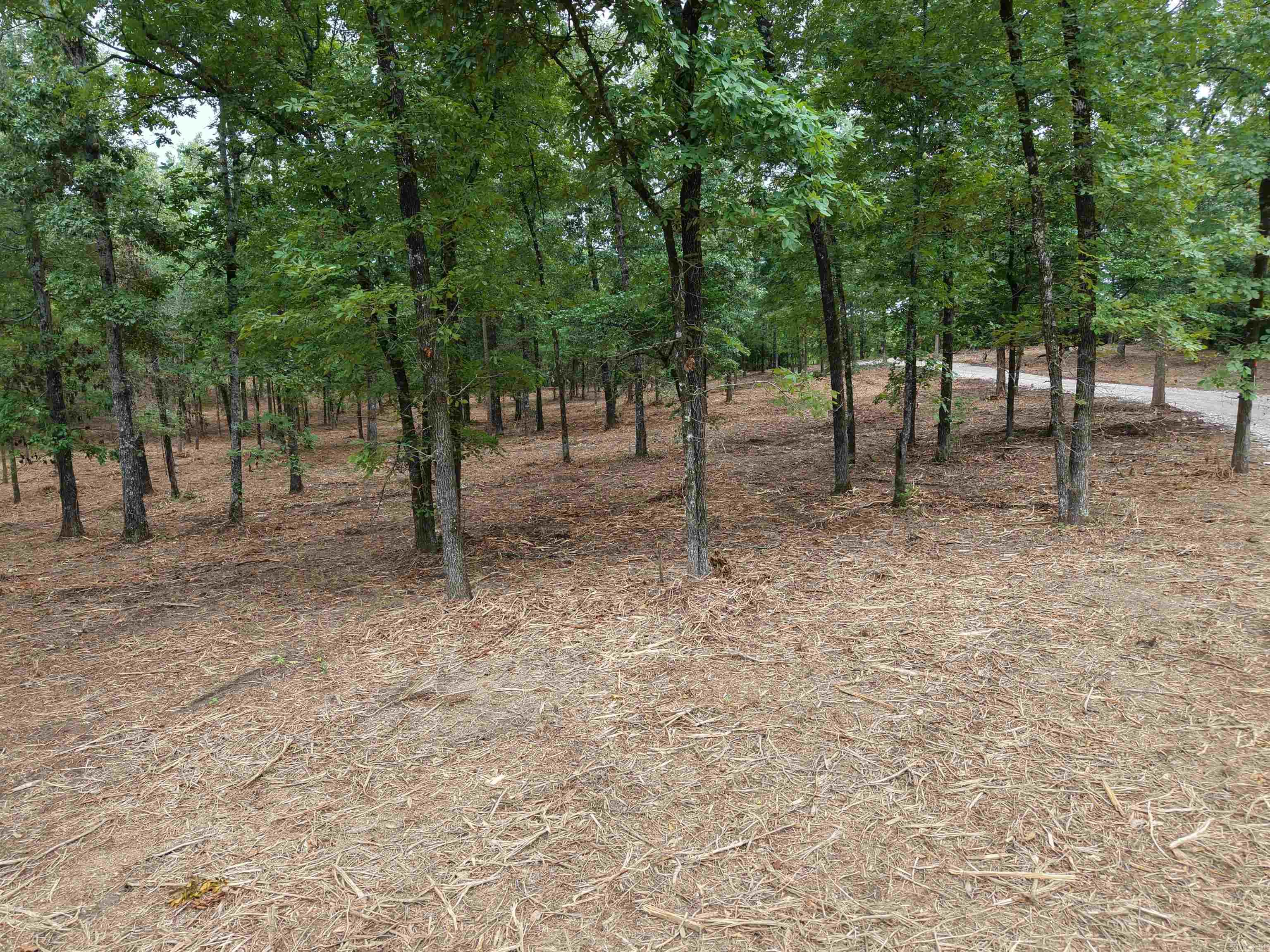 Not in Subdivision - Land