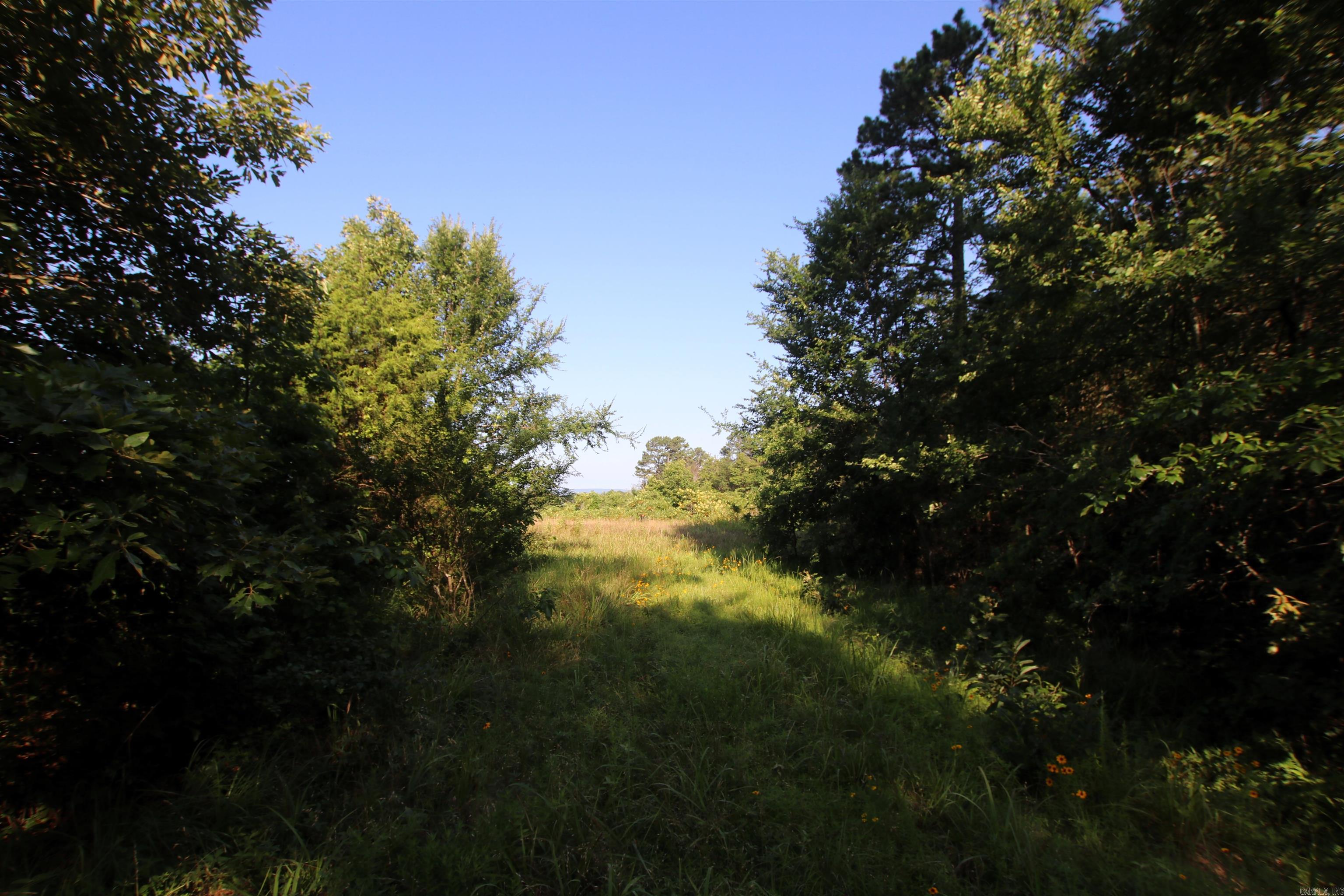 Not in Subdivision - Farm