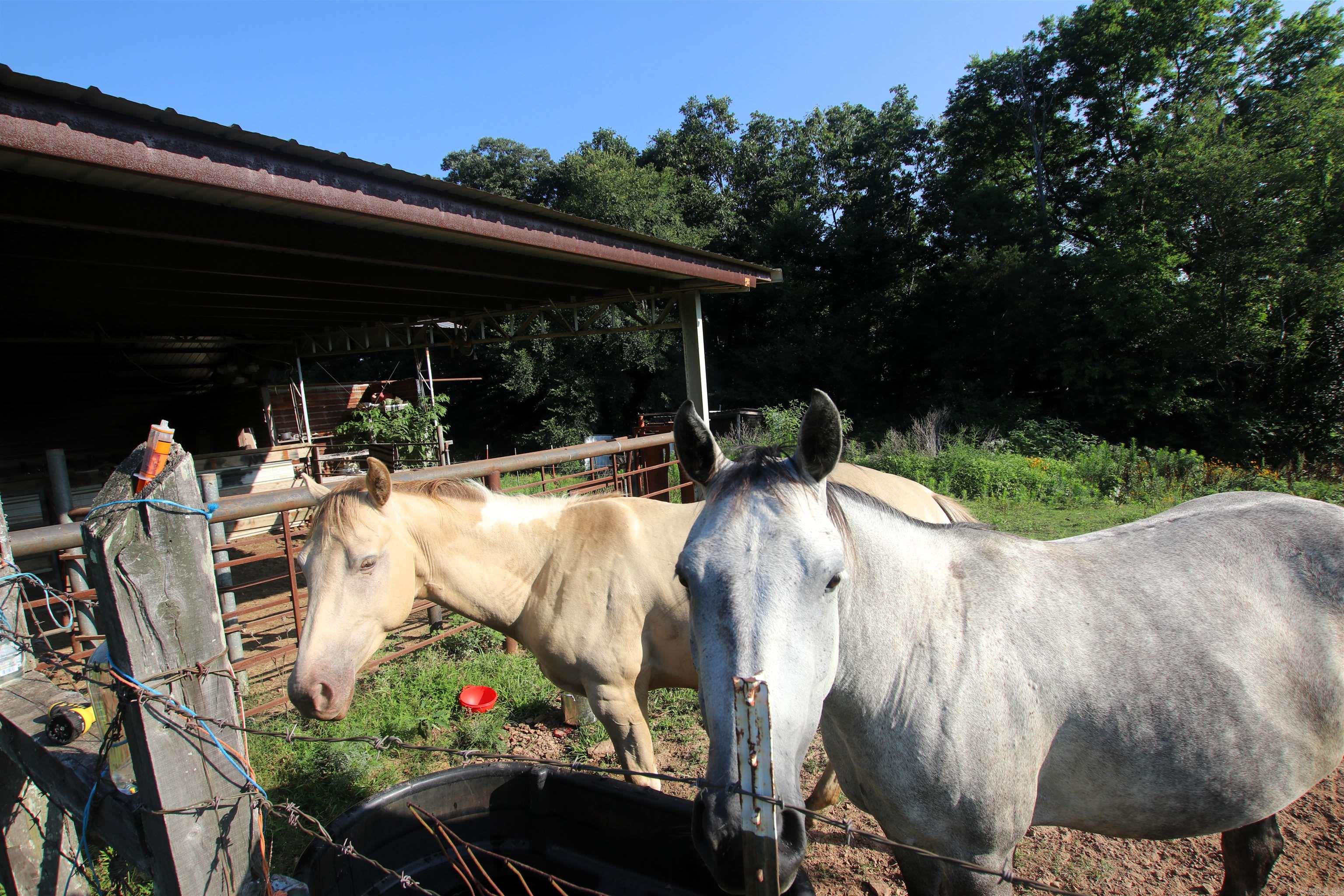 Not in Subdivision - Farm